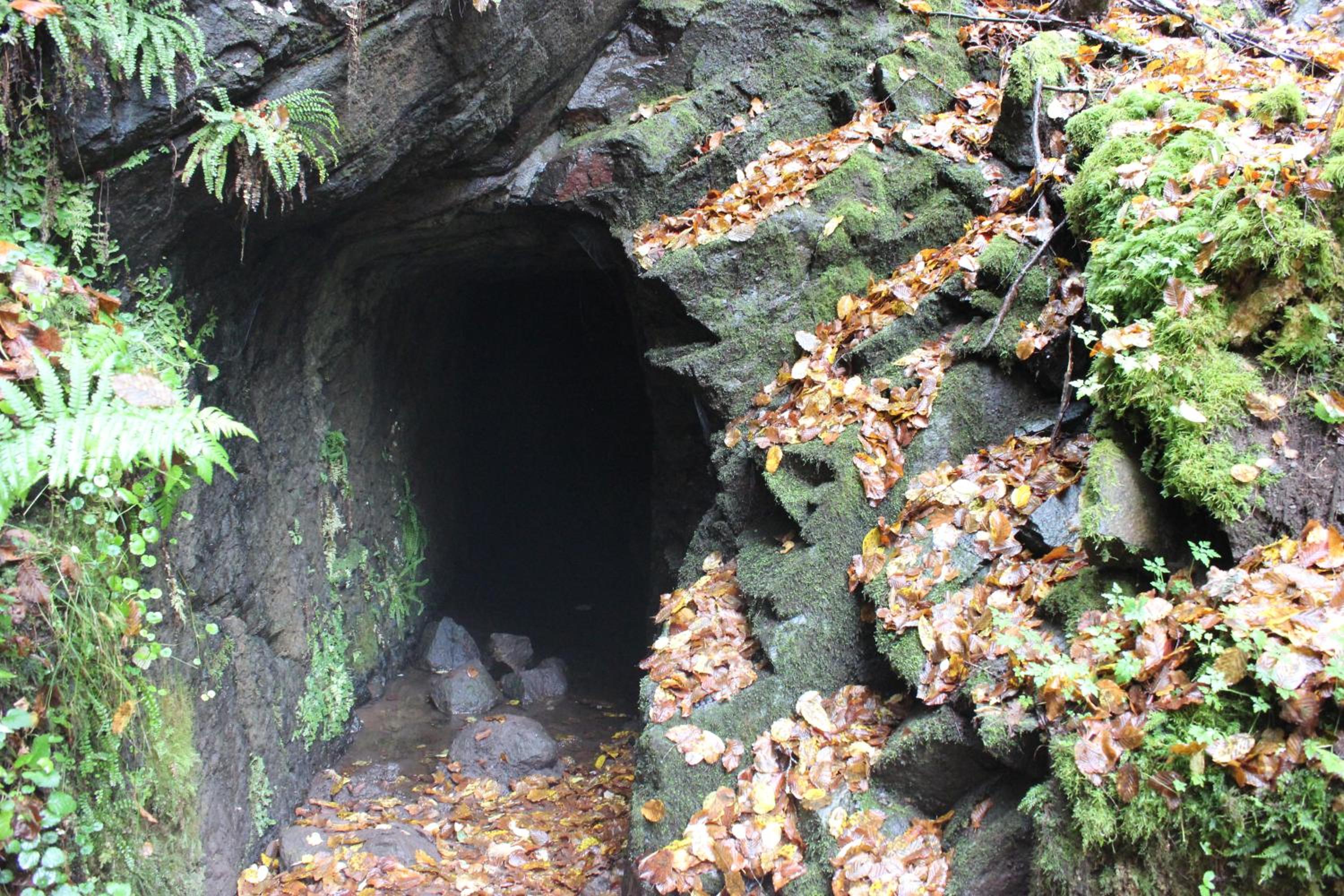 fewogriebelschied