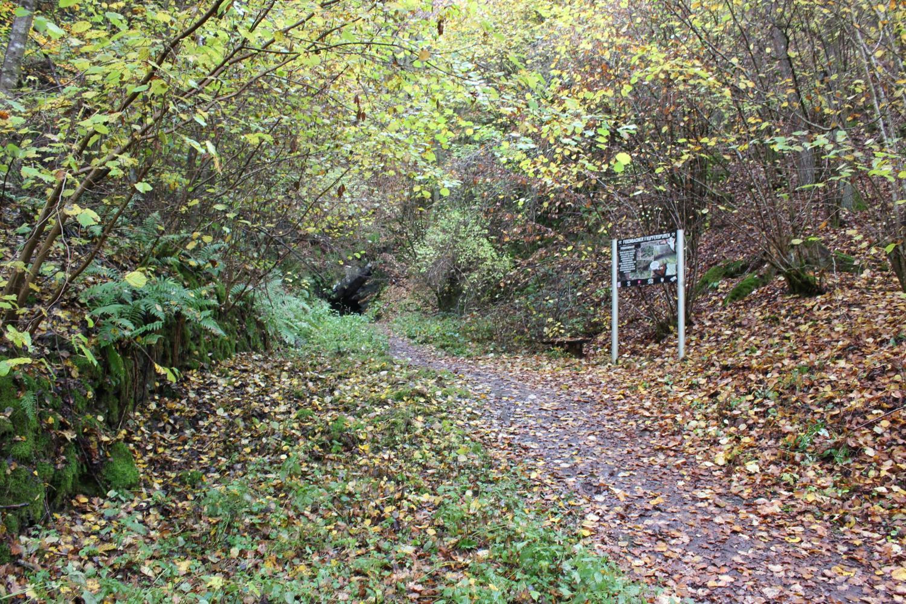 fewogriebelschied
