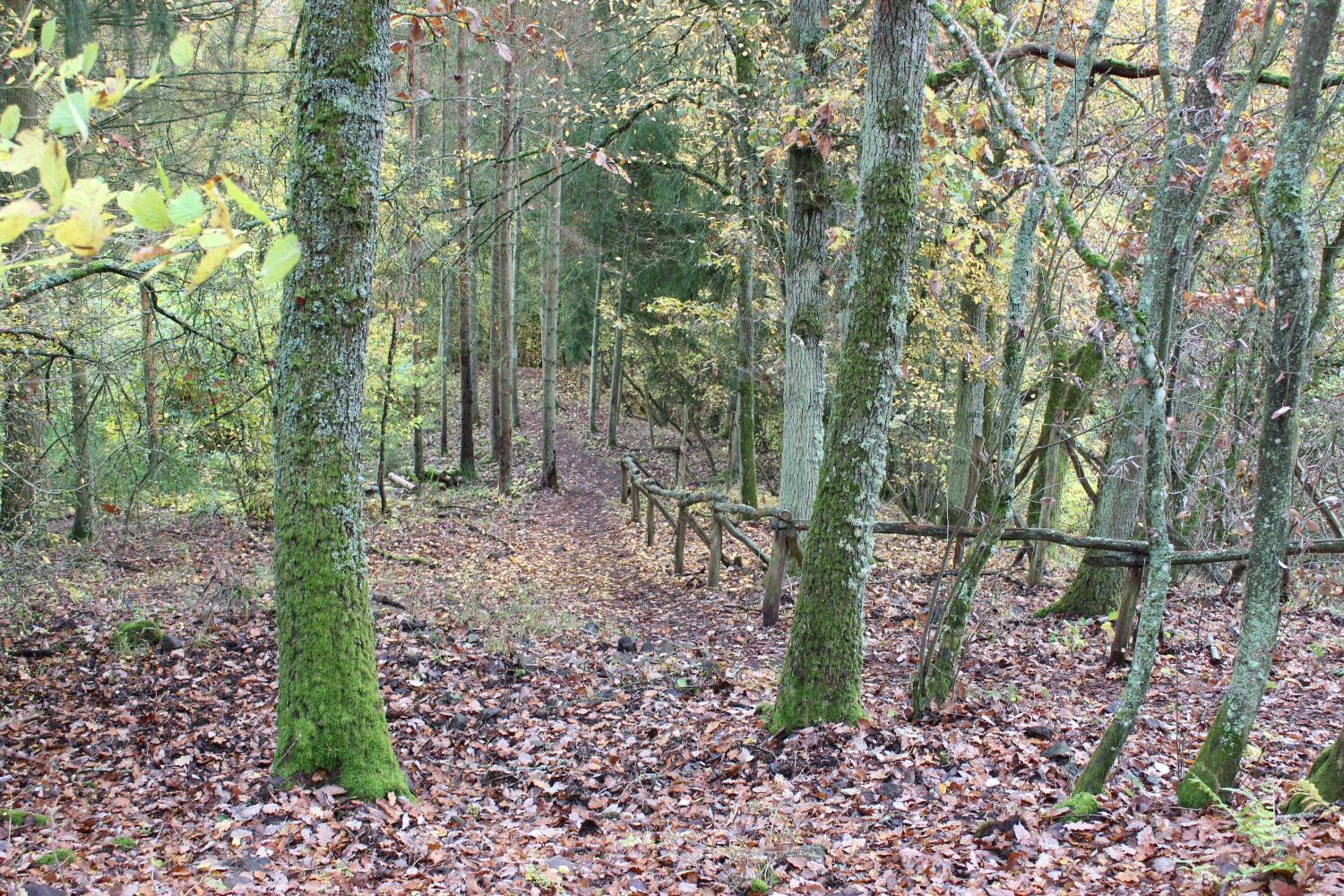 fewogriebelschied