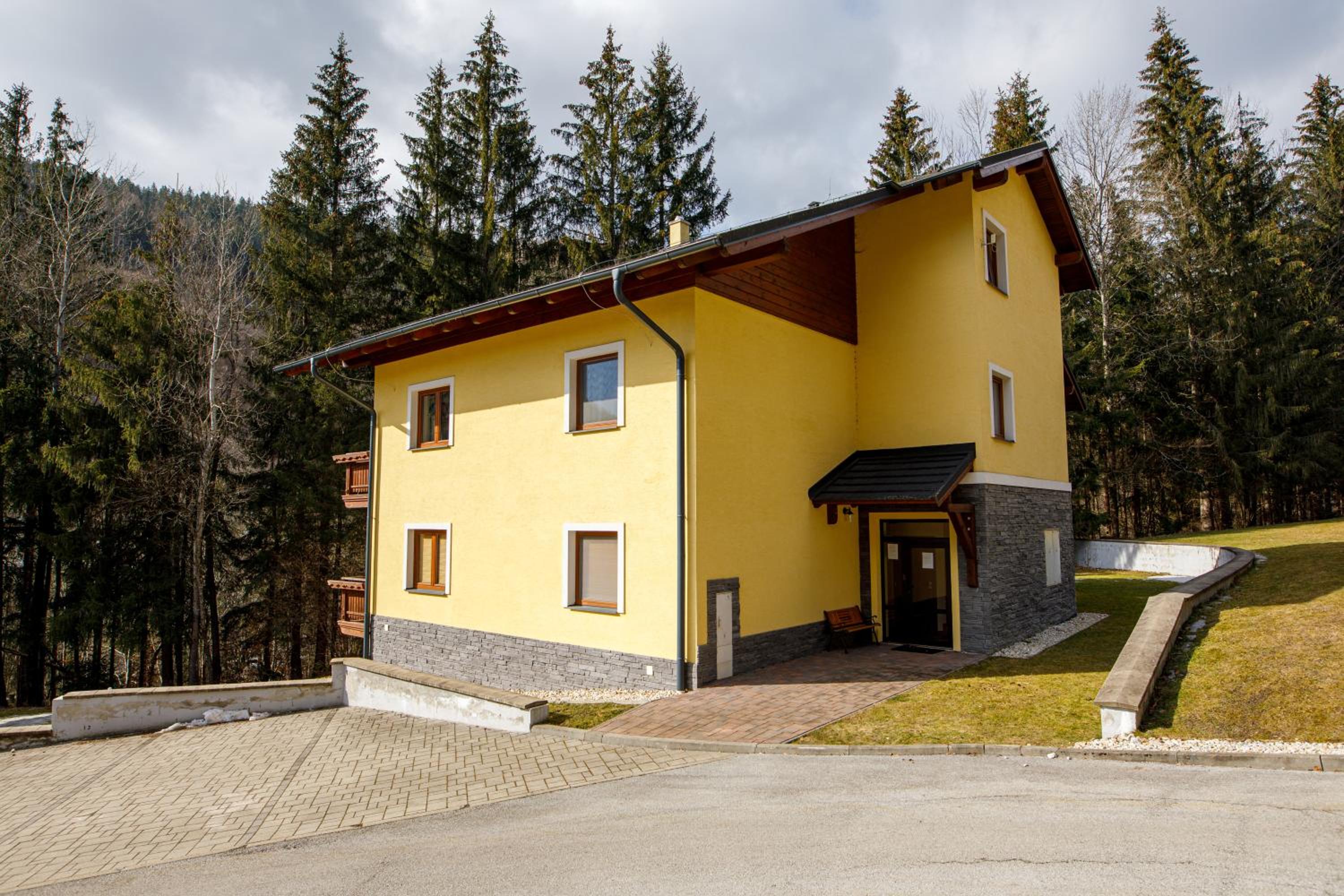 Photo 6