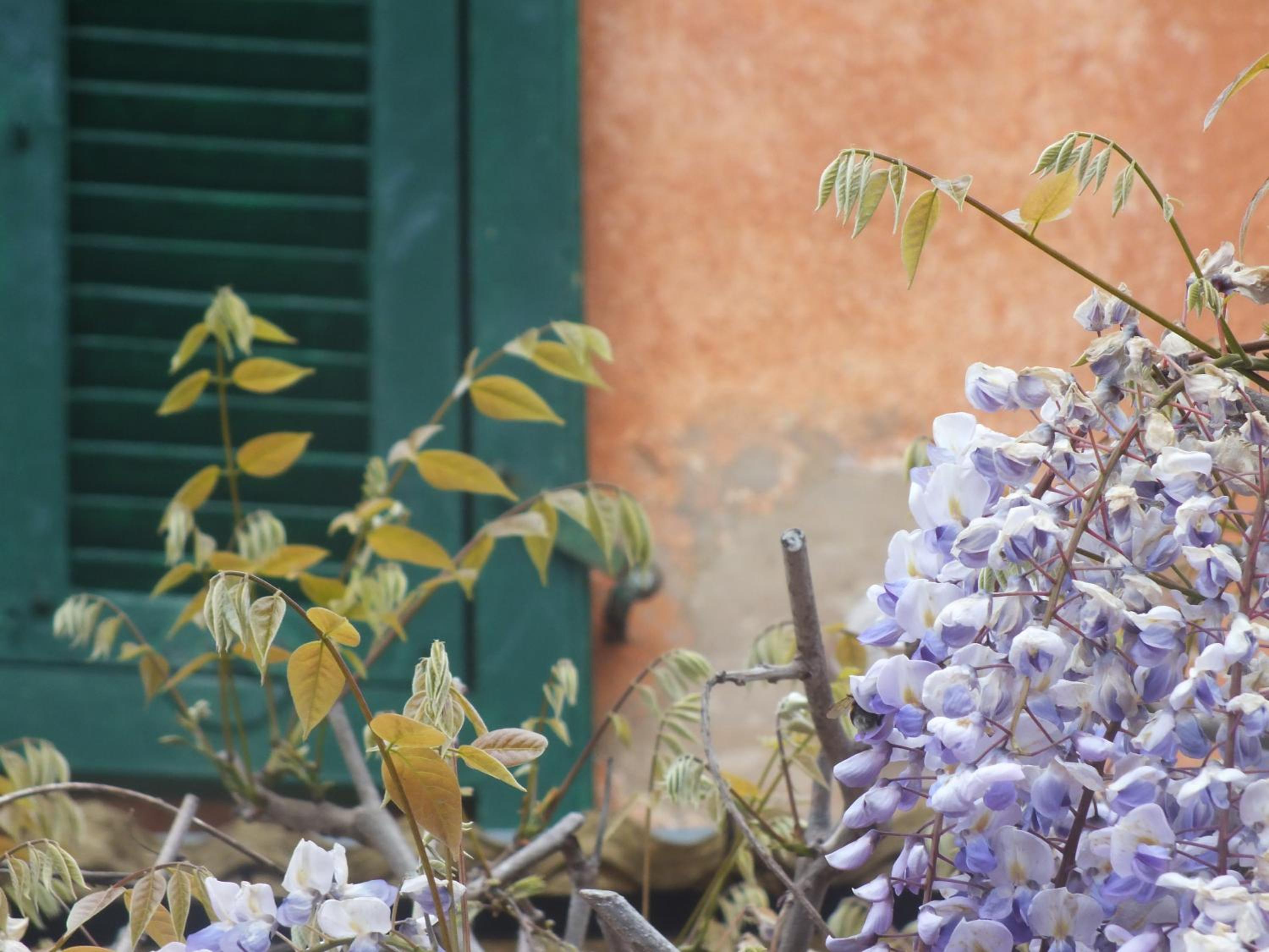 CasaDelGrillo CountryHouse