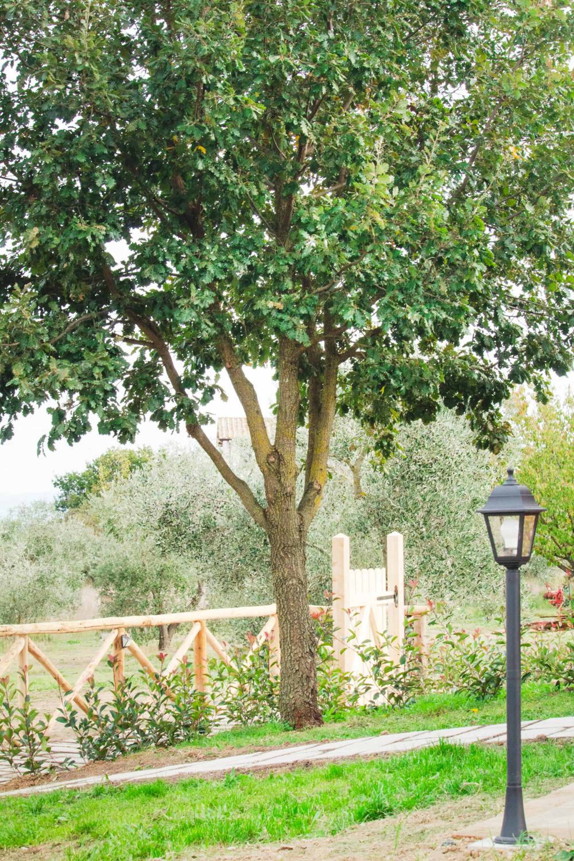 Agriturismo Poggio Degli Ulivi
