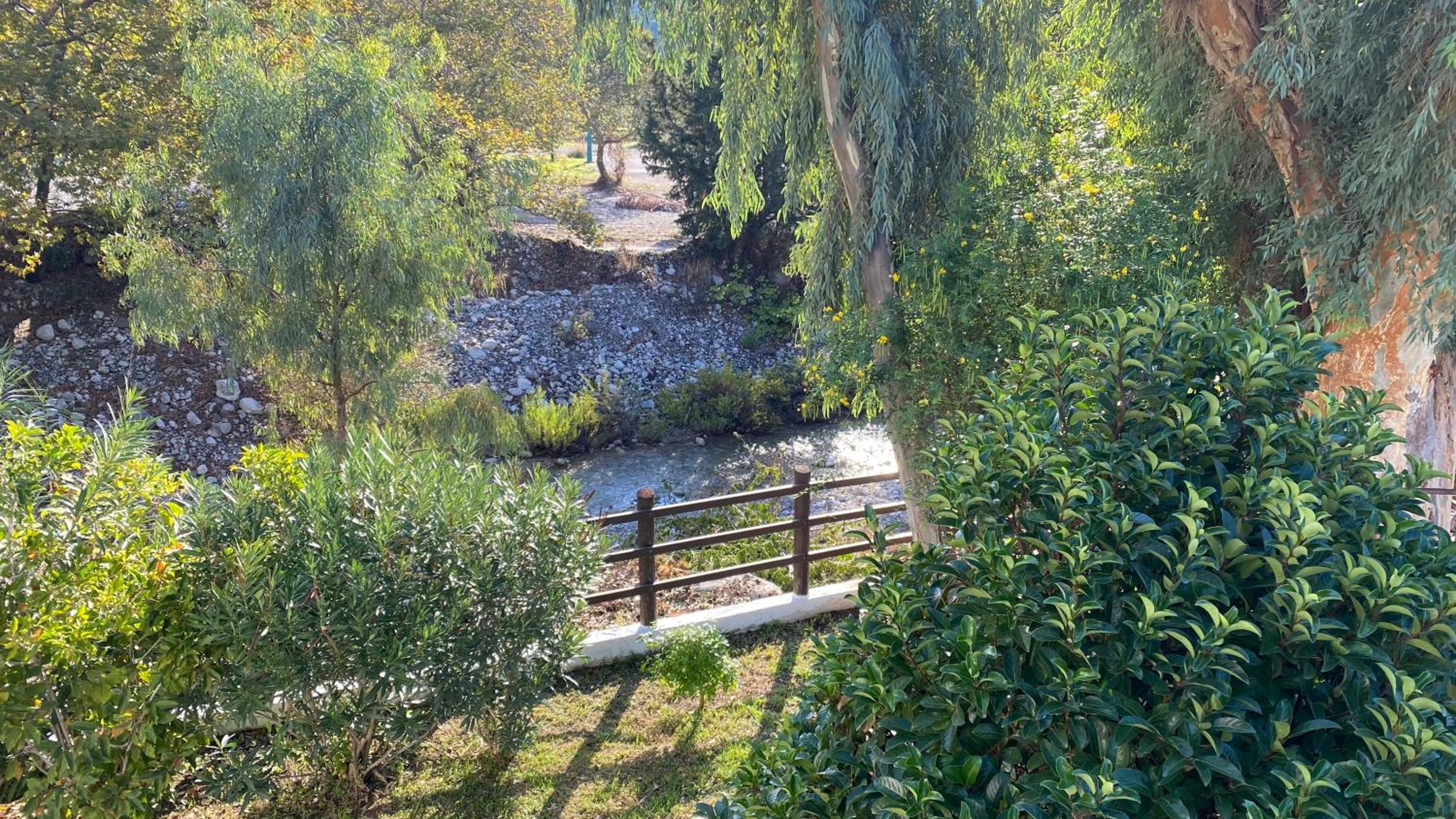 Photo 35