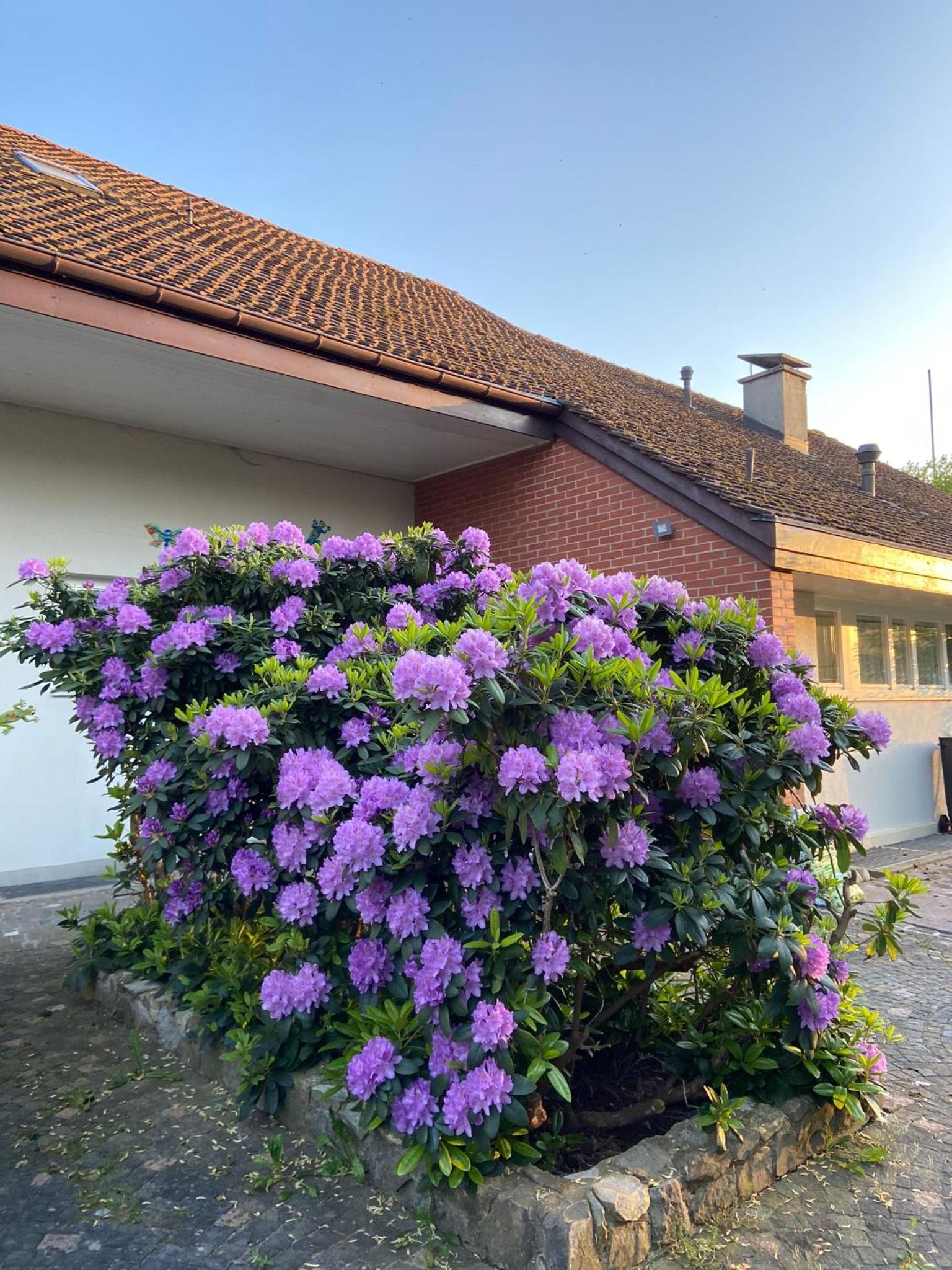 Casa Wellbella