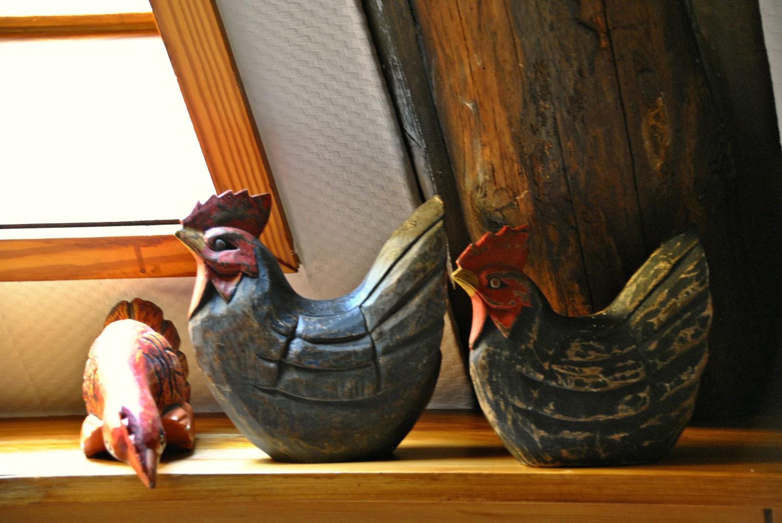 Photo 7