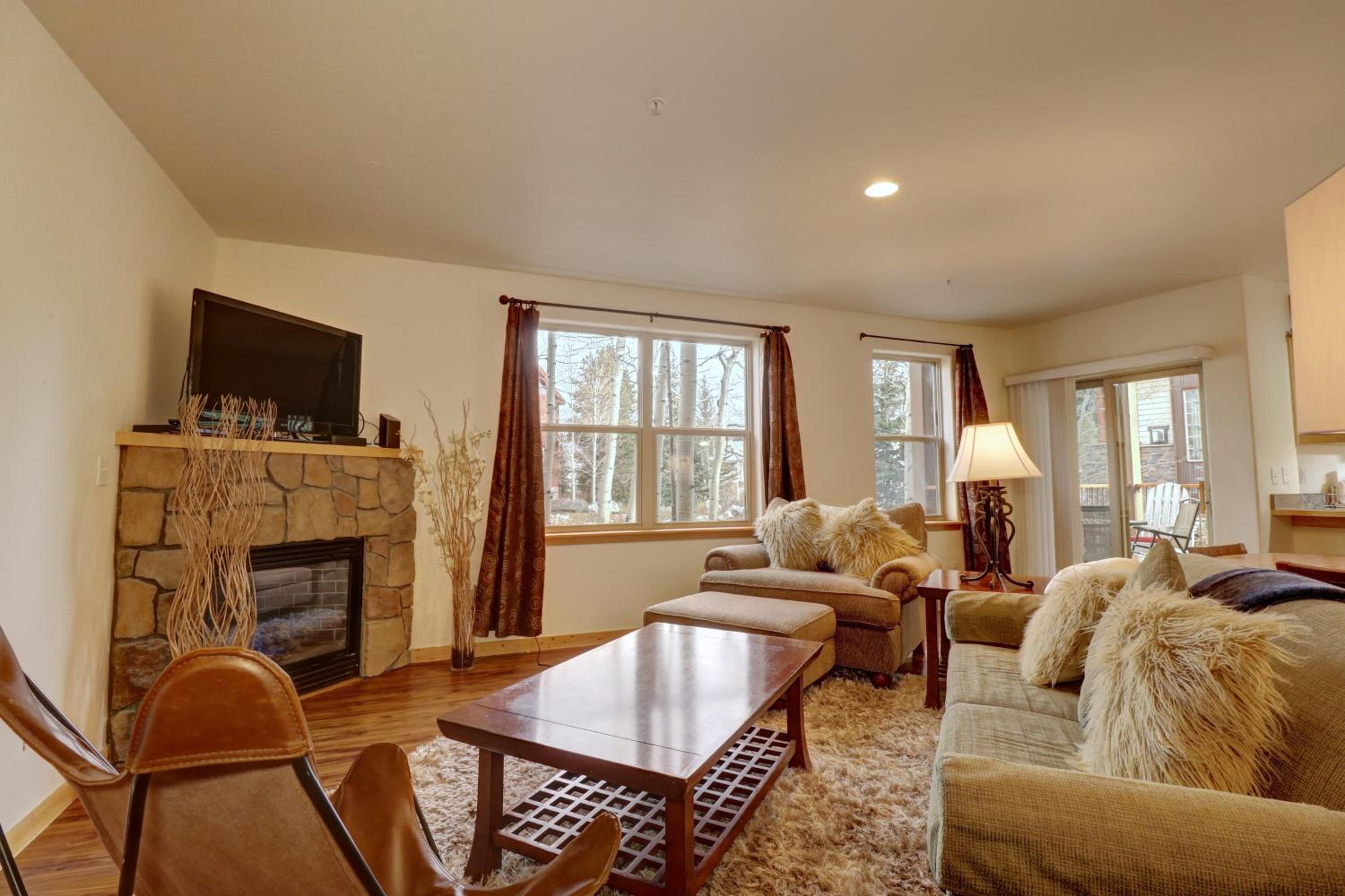 101 Streamside Lane condo view 3