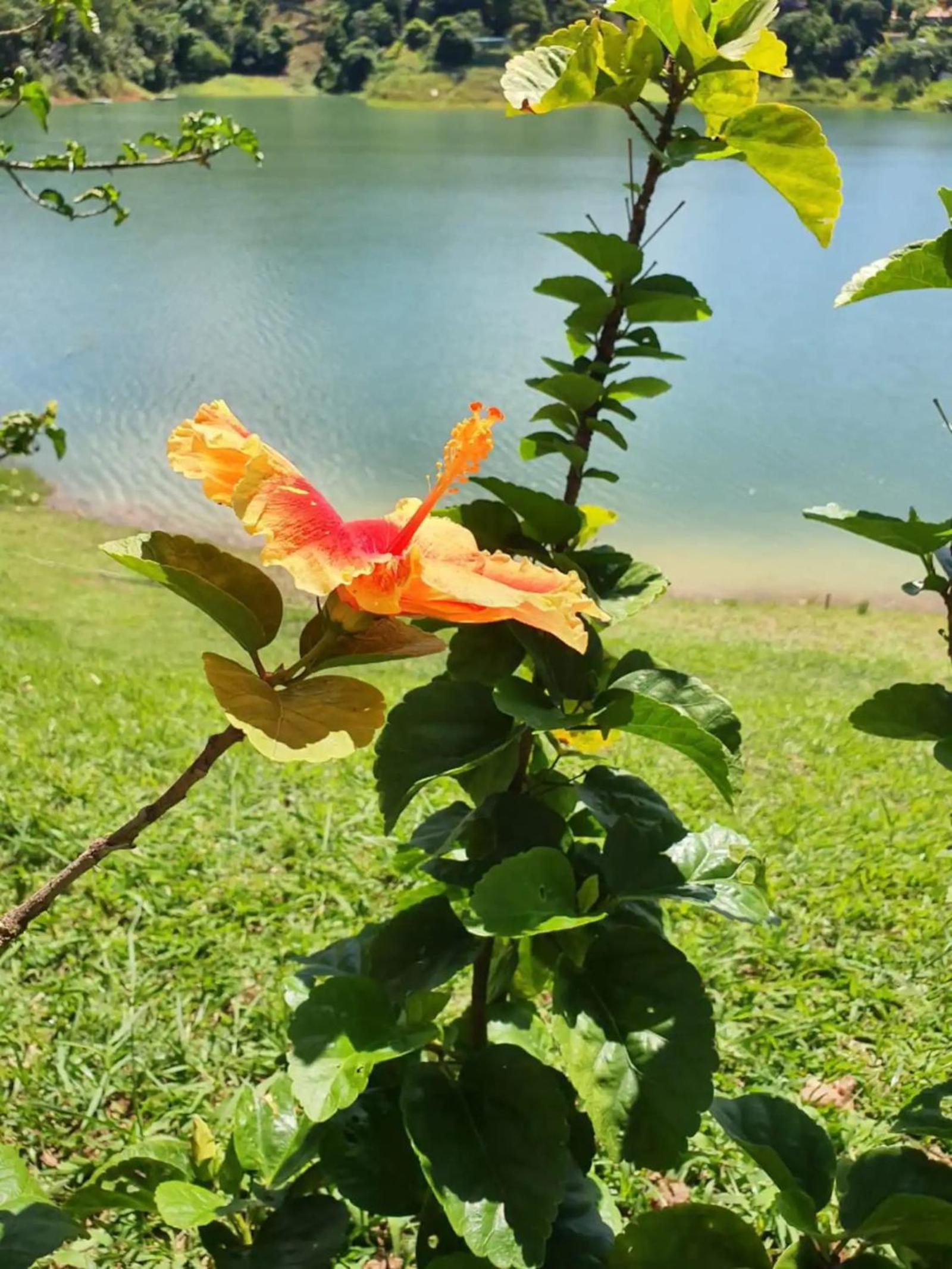 MARAVILHOSO SÍTIO NA BEIRA DA REPRESA