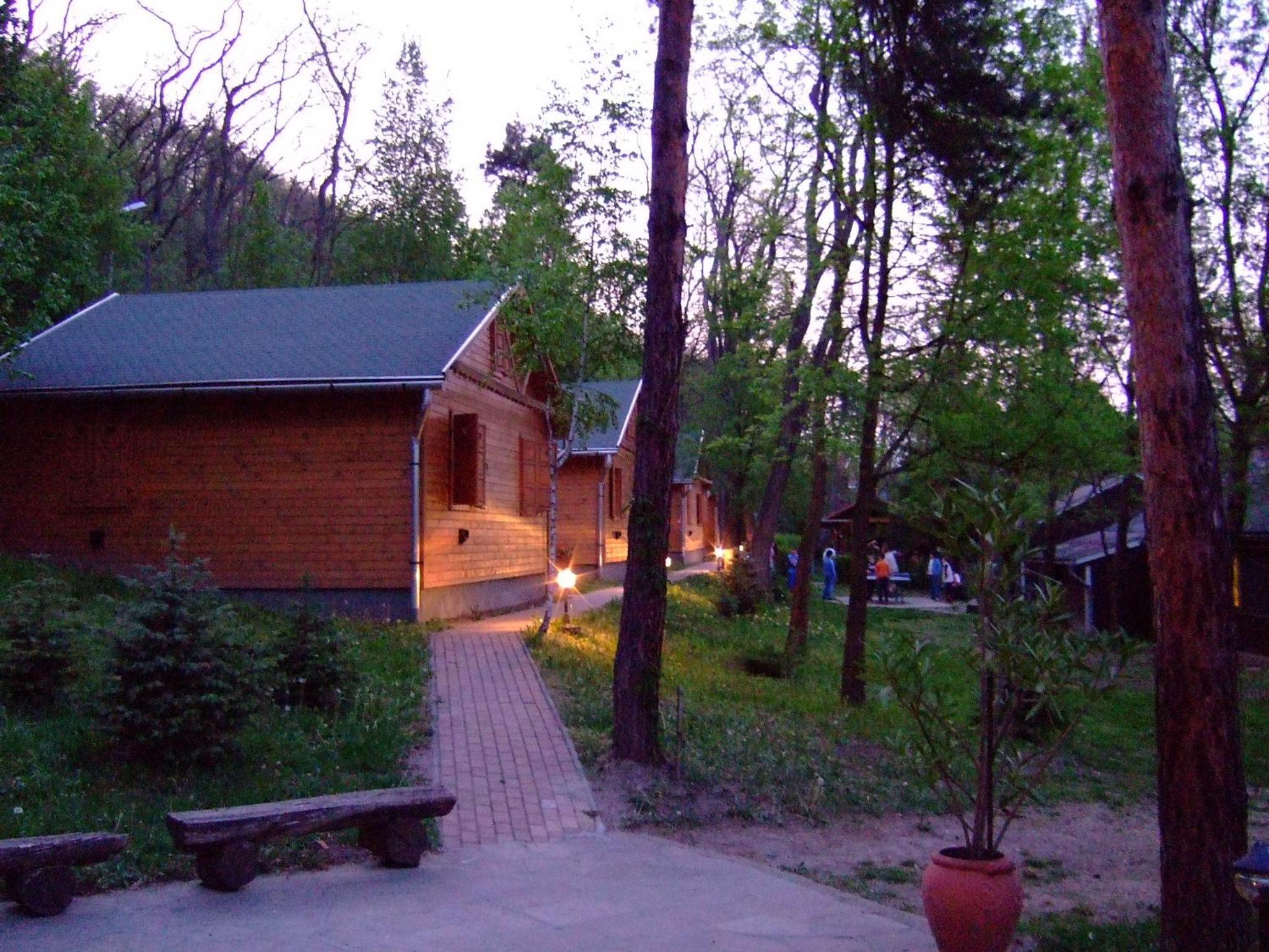 Photo 13