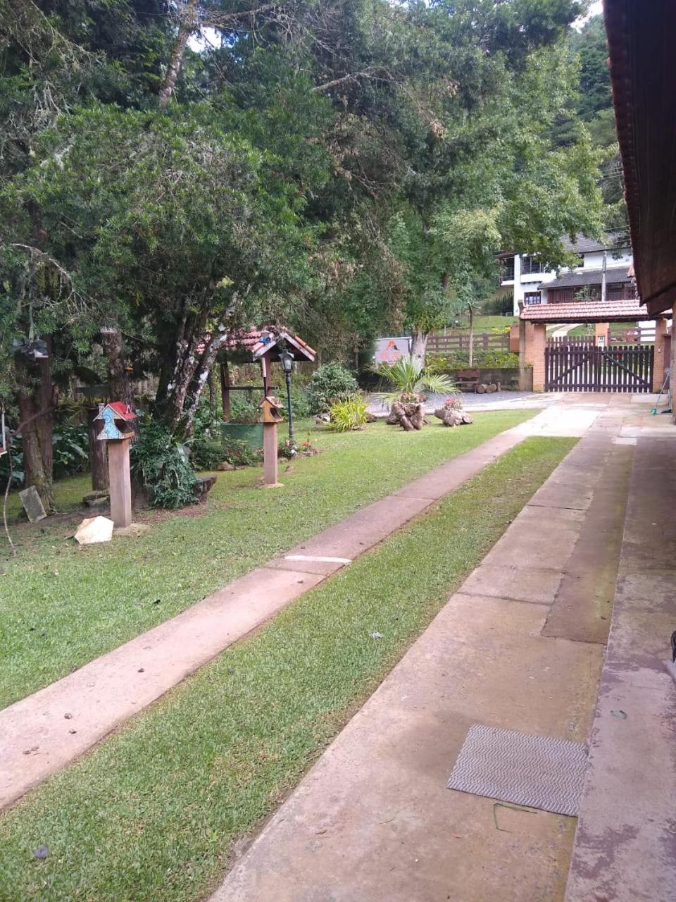 Photo 42
