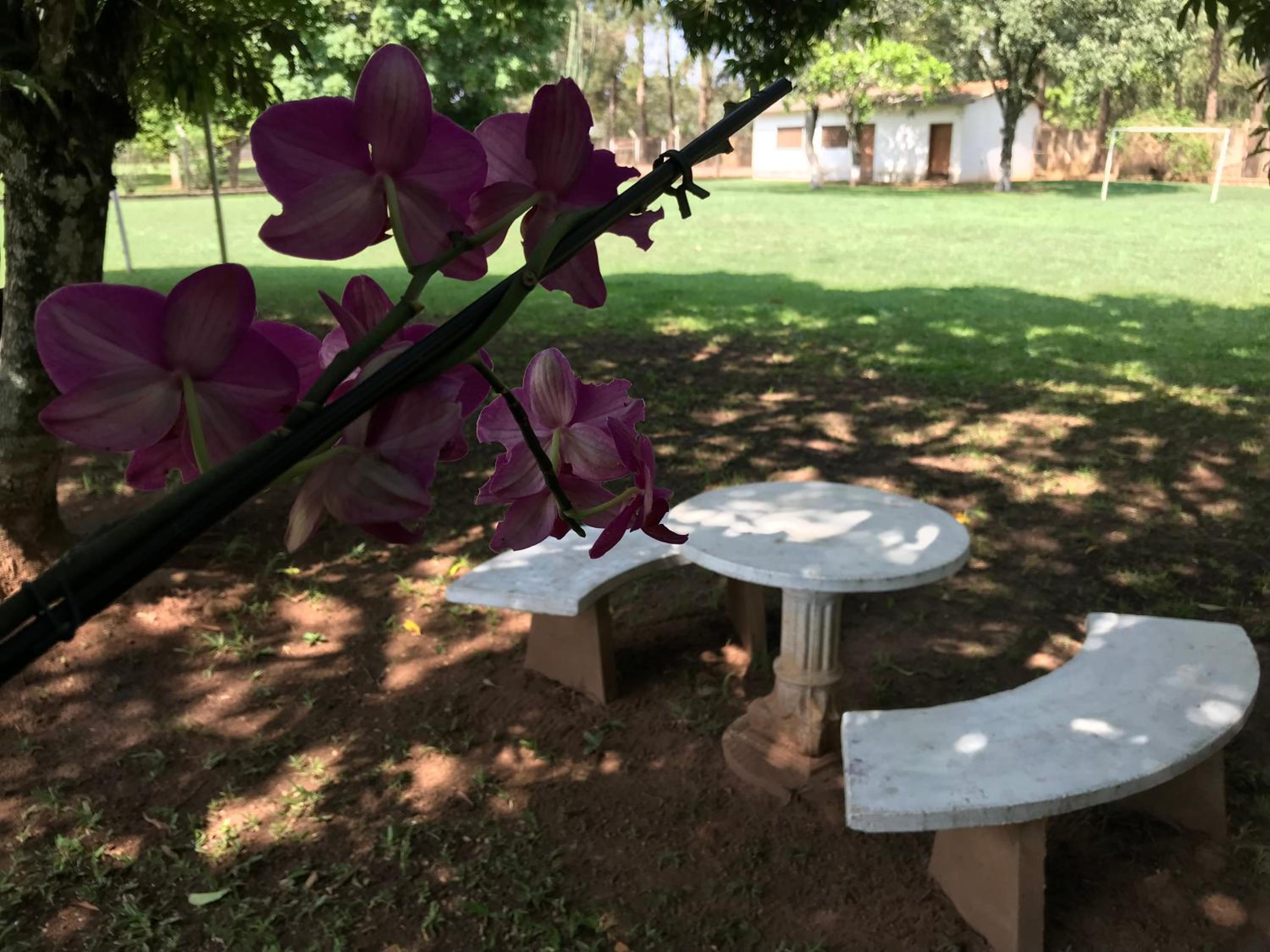Espaço Sr Churras famílias são bem vindas Temos berço