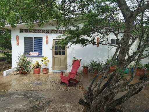 Galerazambahostal