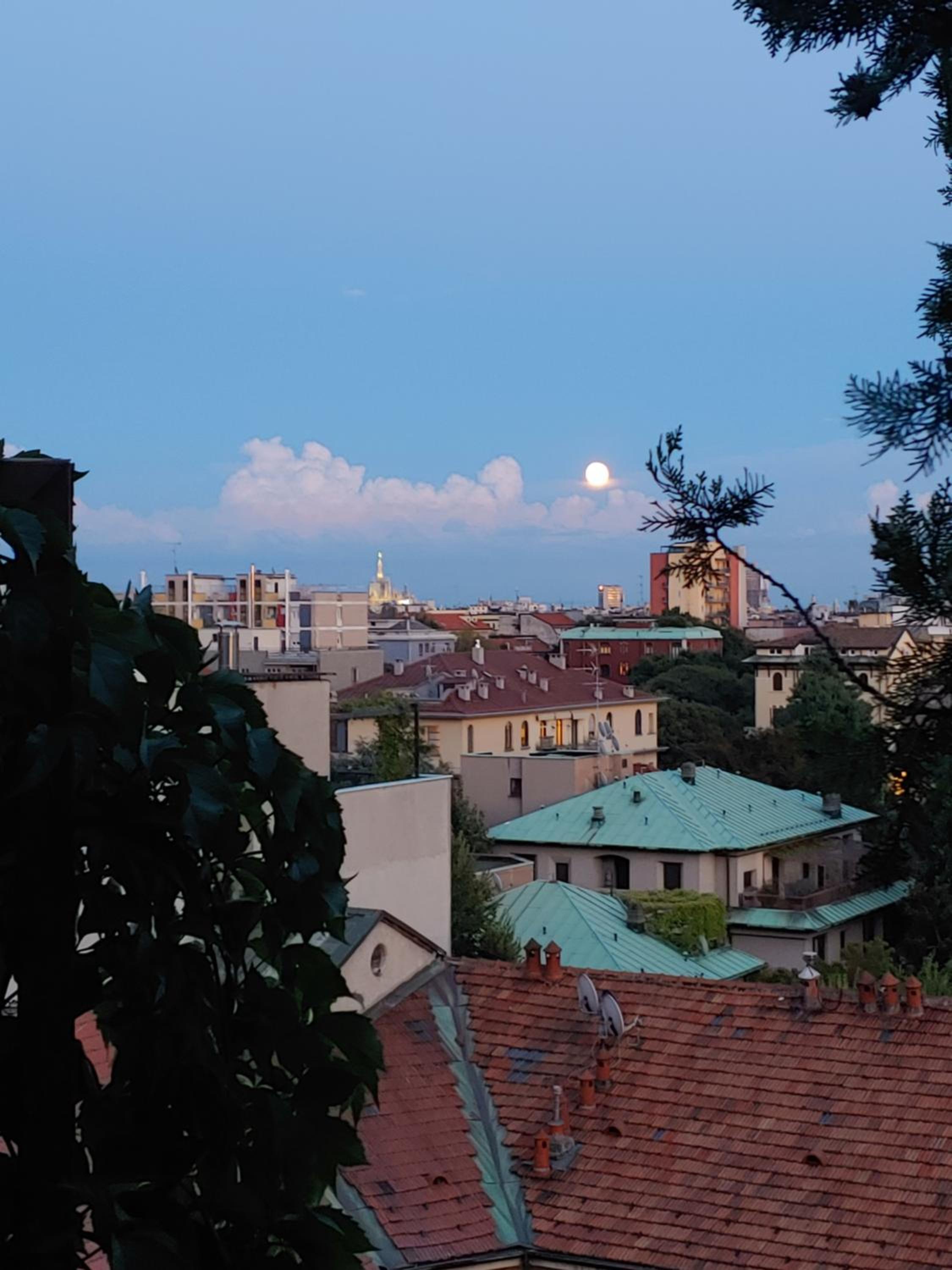 Buonarroti City Life Roof Garden Mita Milano
