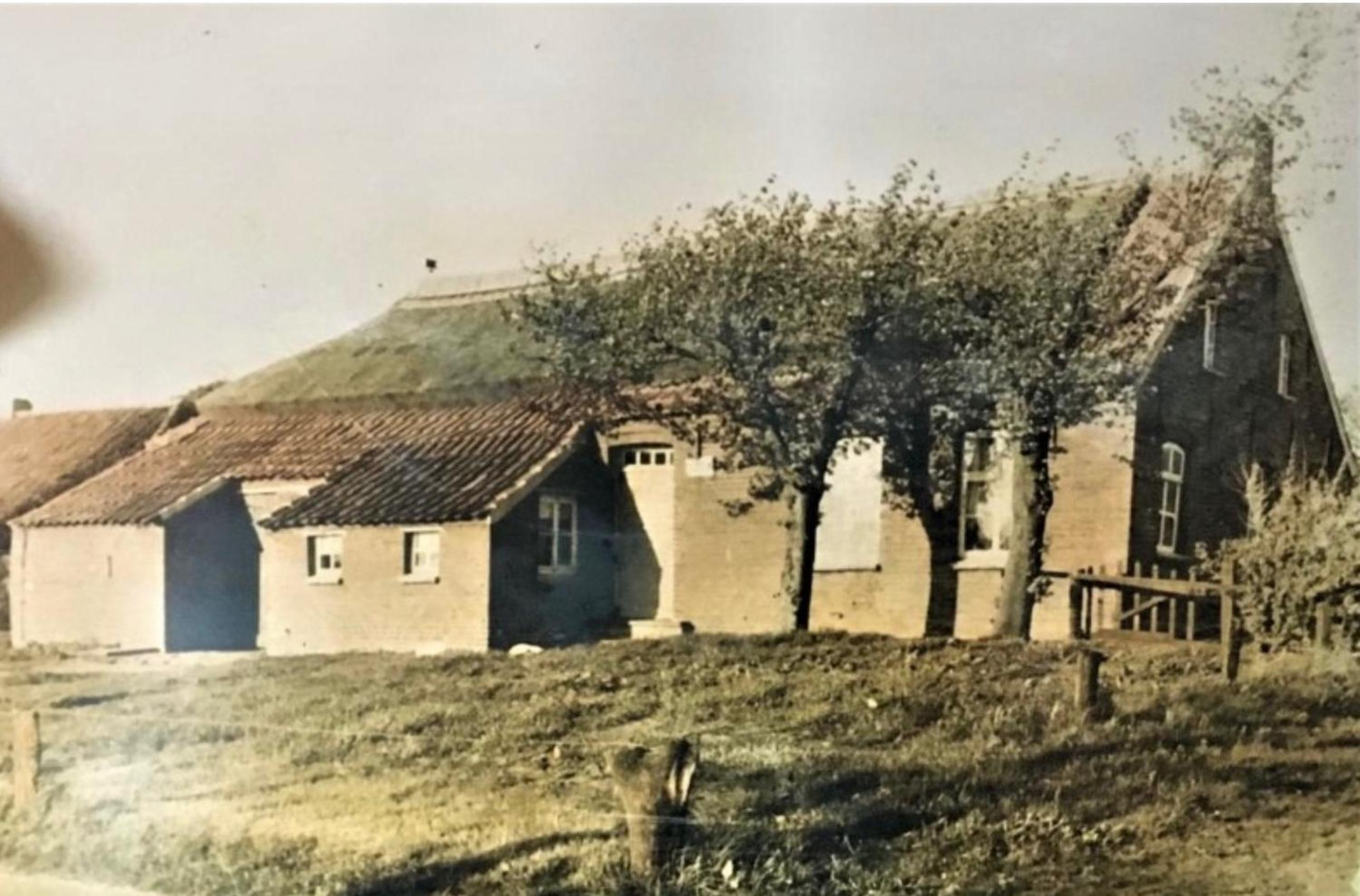 Lindenhuus-Urlaub unter einem Teilreetdach-Terrasse - Nahe Norden-Norddeich