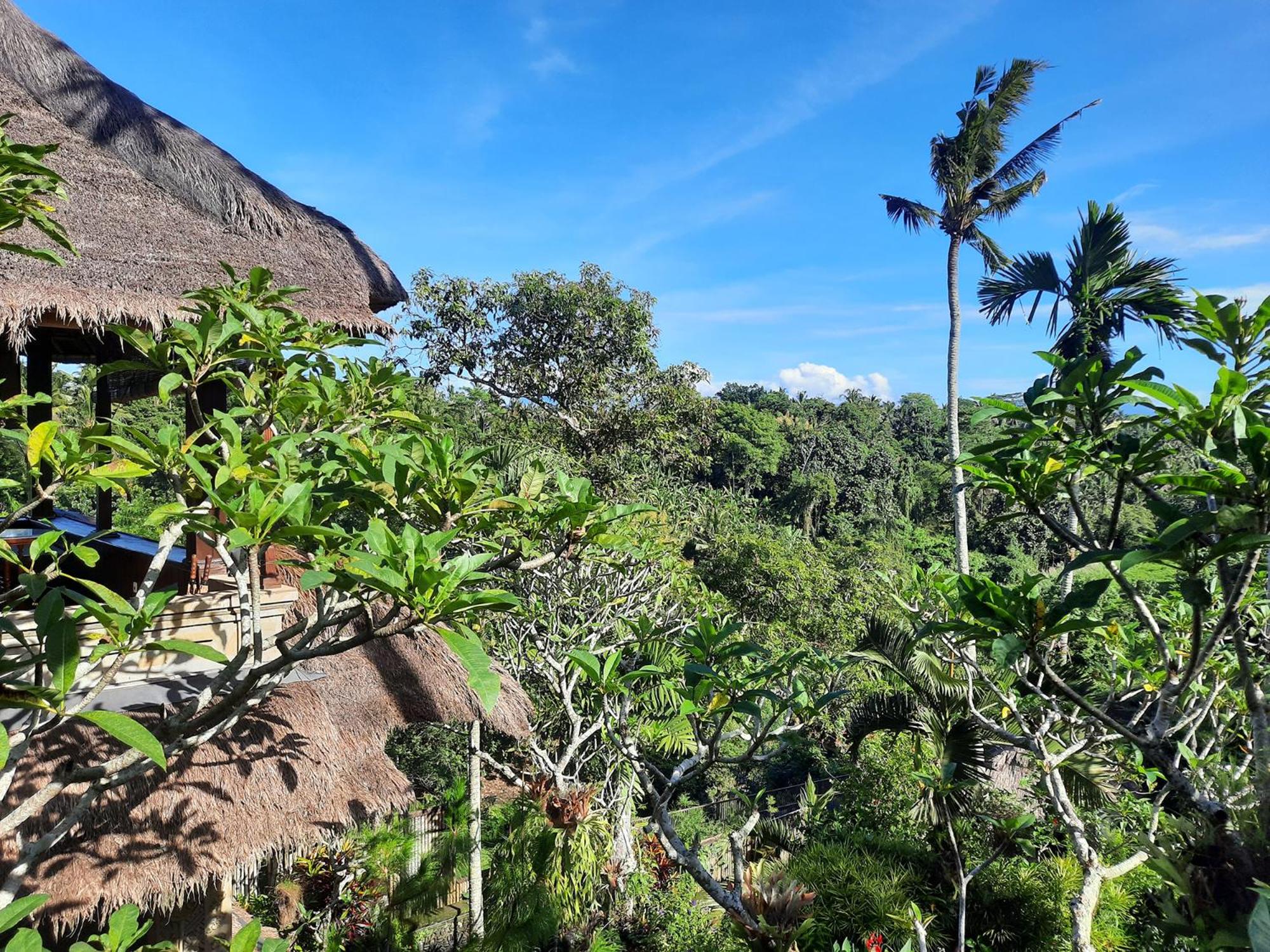 Alam Indah Ubud