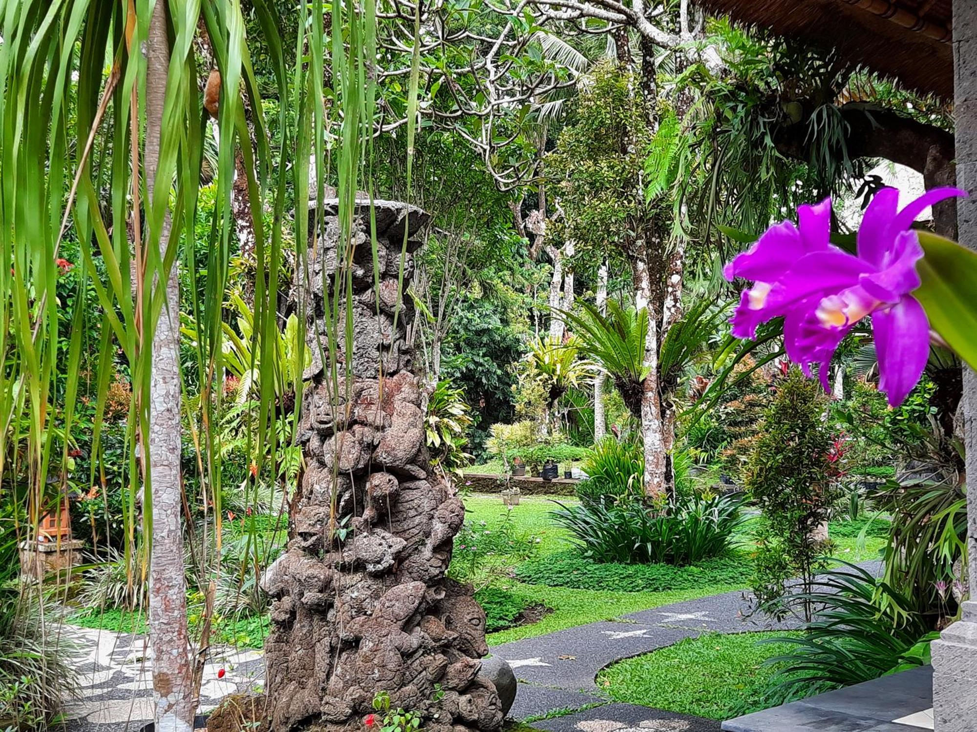 Alam Indah Ubud