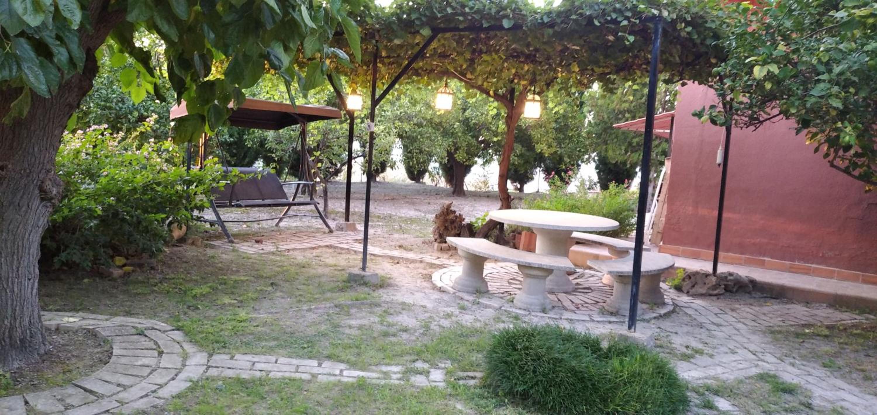 Photo 22