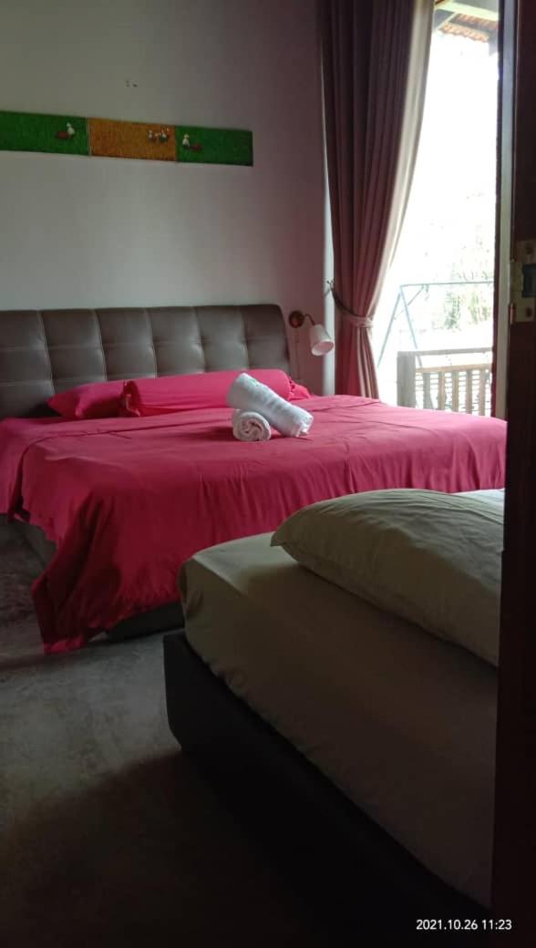 Mandara Tree Villas photo 6