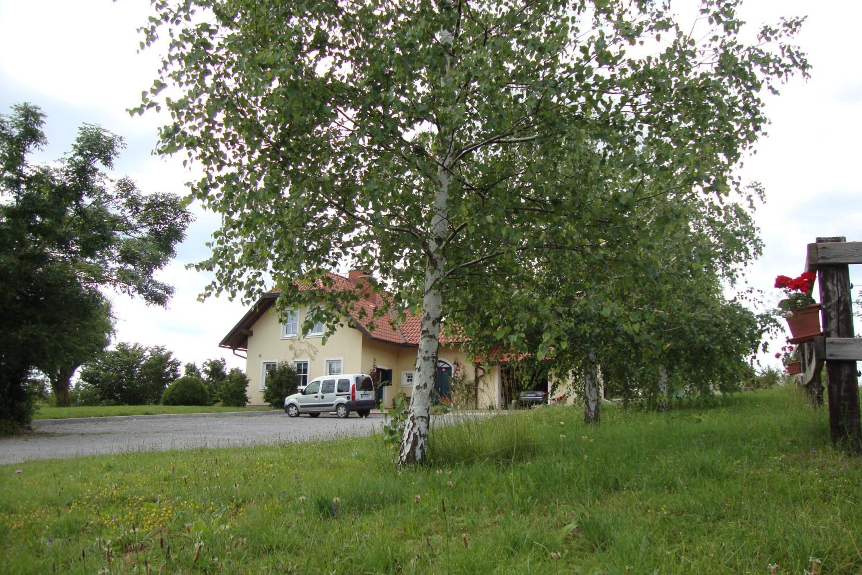 Photo 78