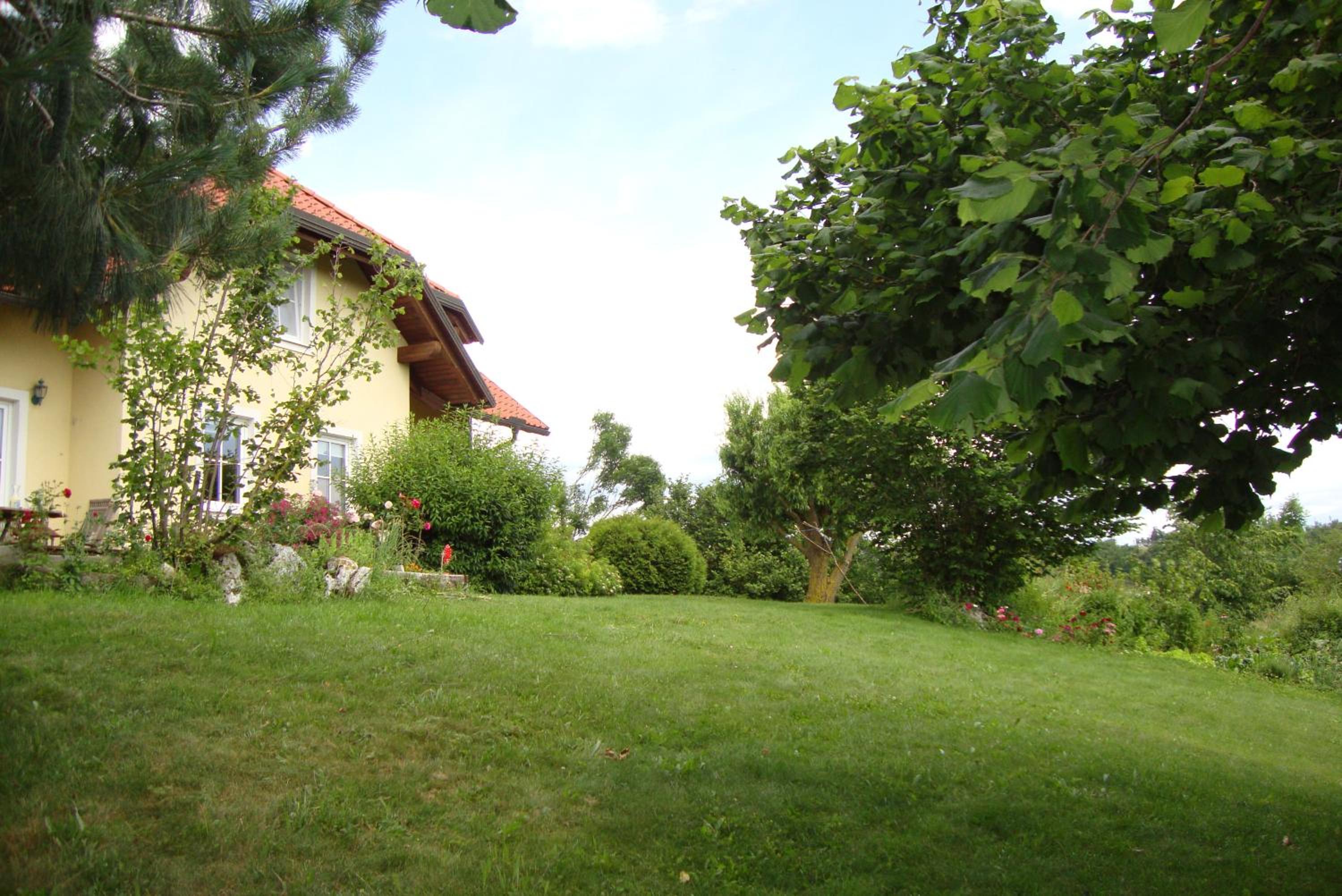 Photo 48