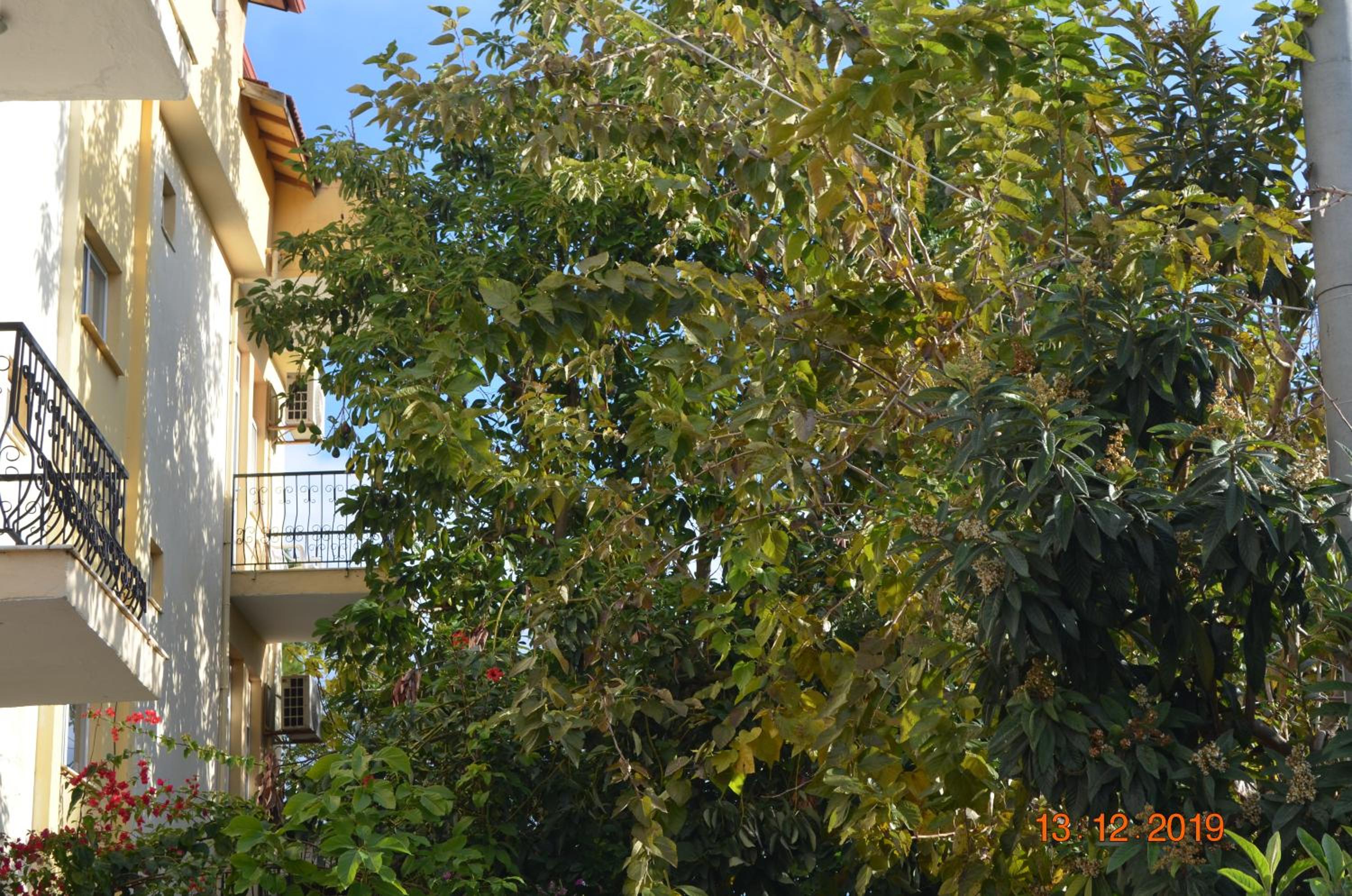 Uygar Otel - Image 33