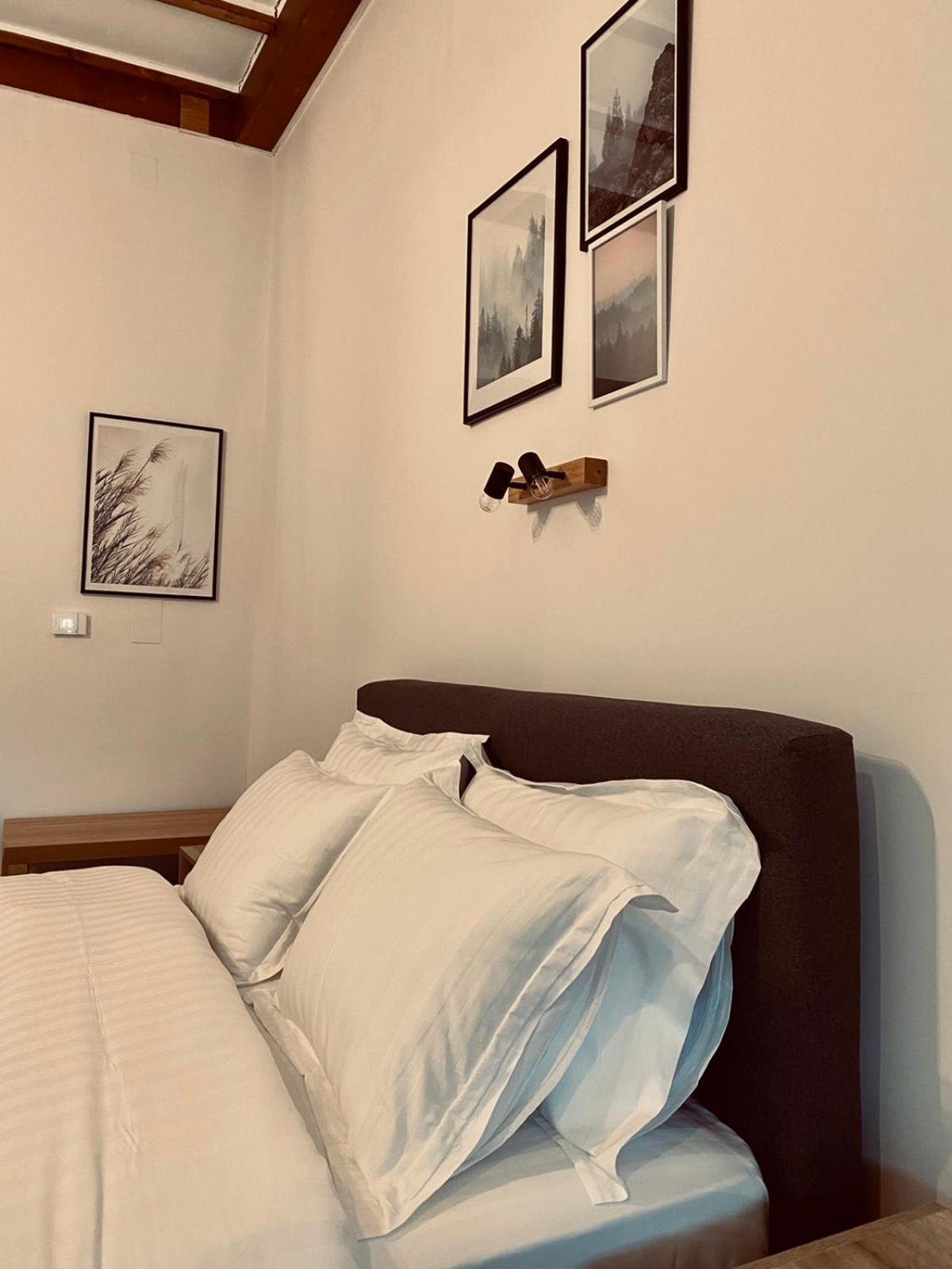 11 Luxury Apartments Metsovo view 2