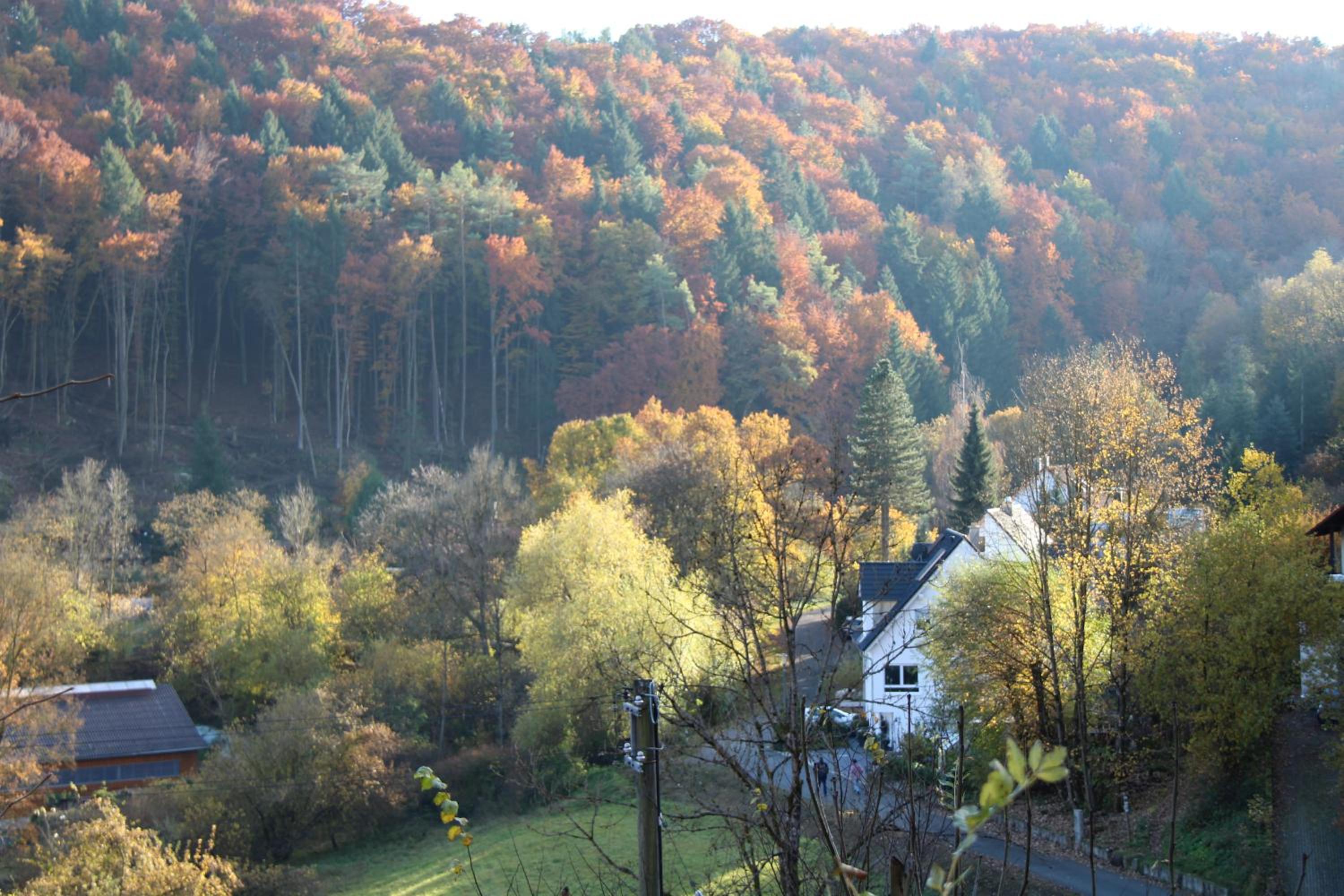 B&B Arlesbrunnen