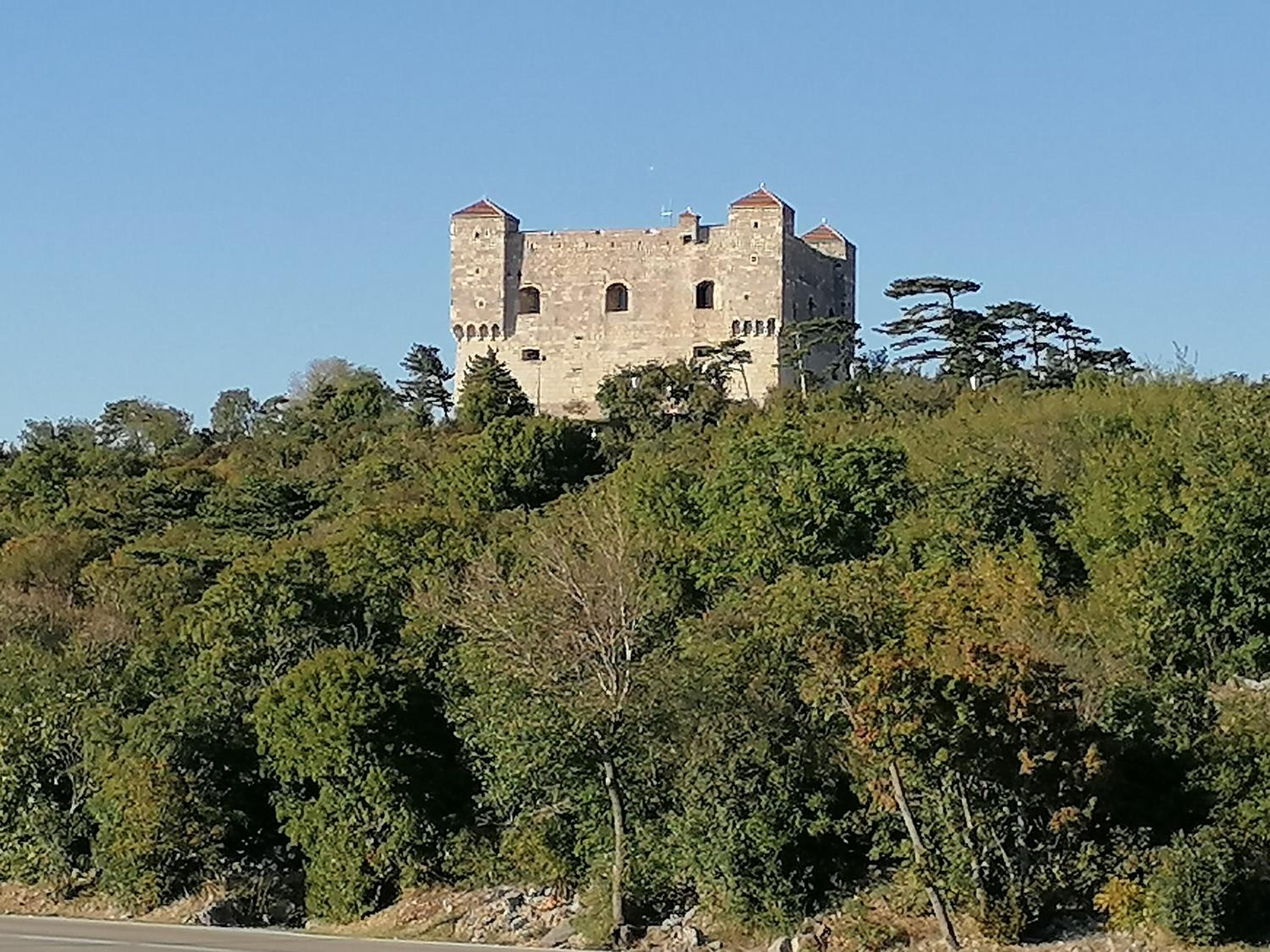Photo 14