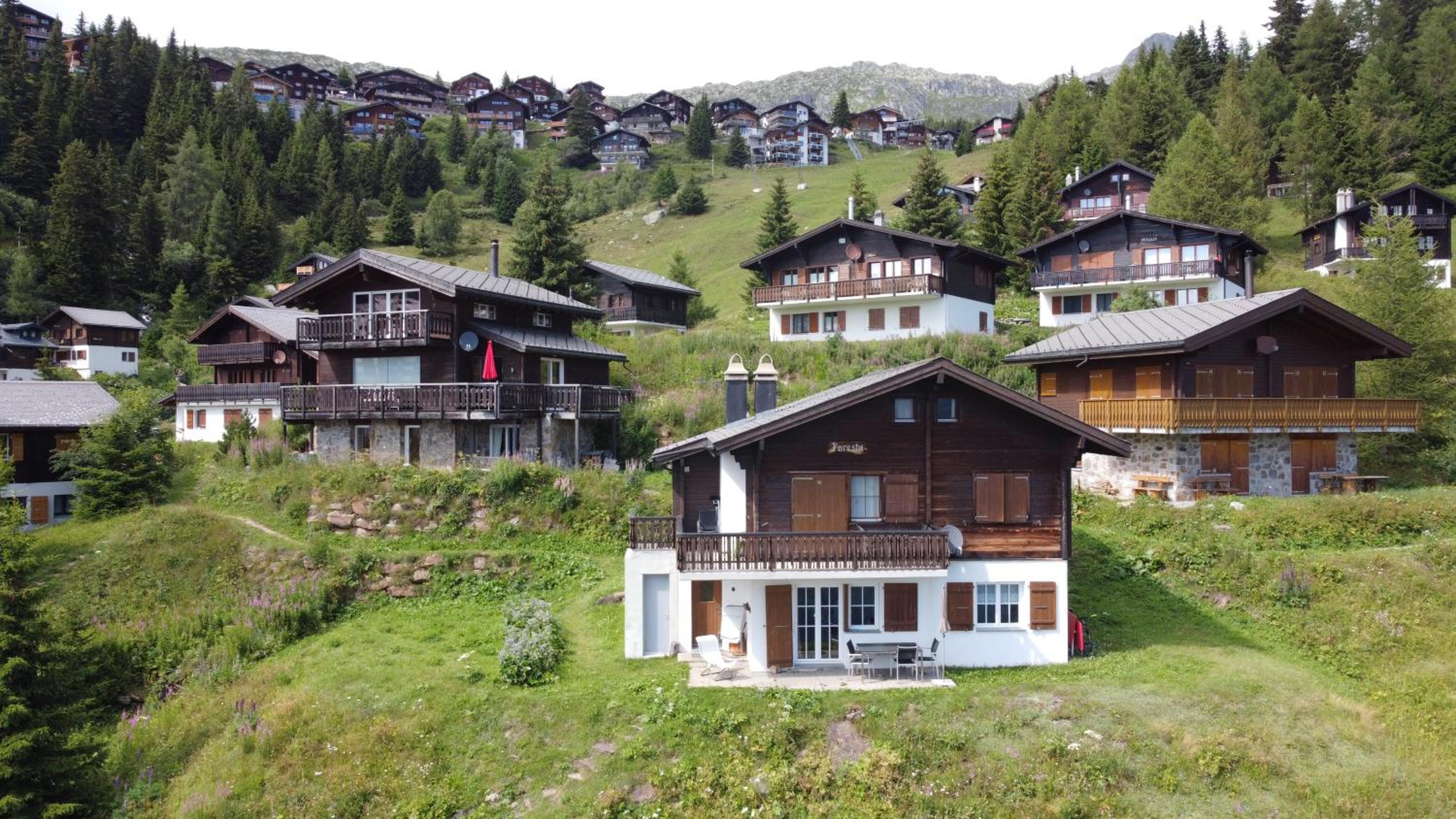 Chalet Foresta view 5