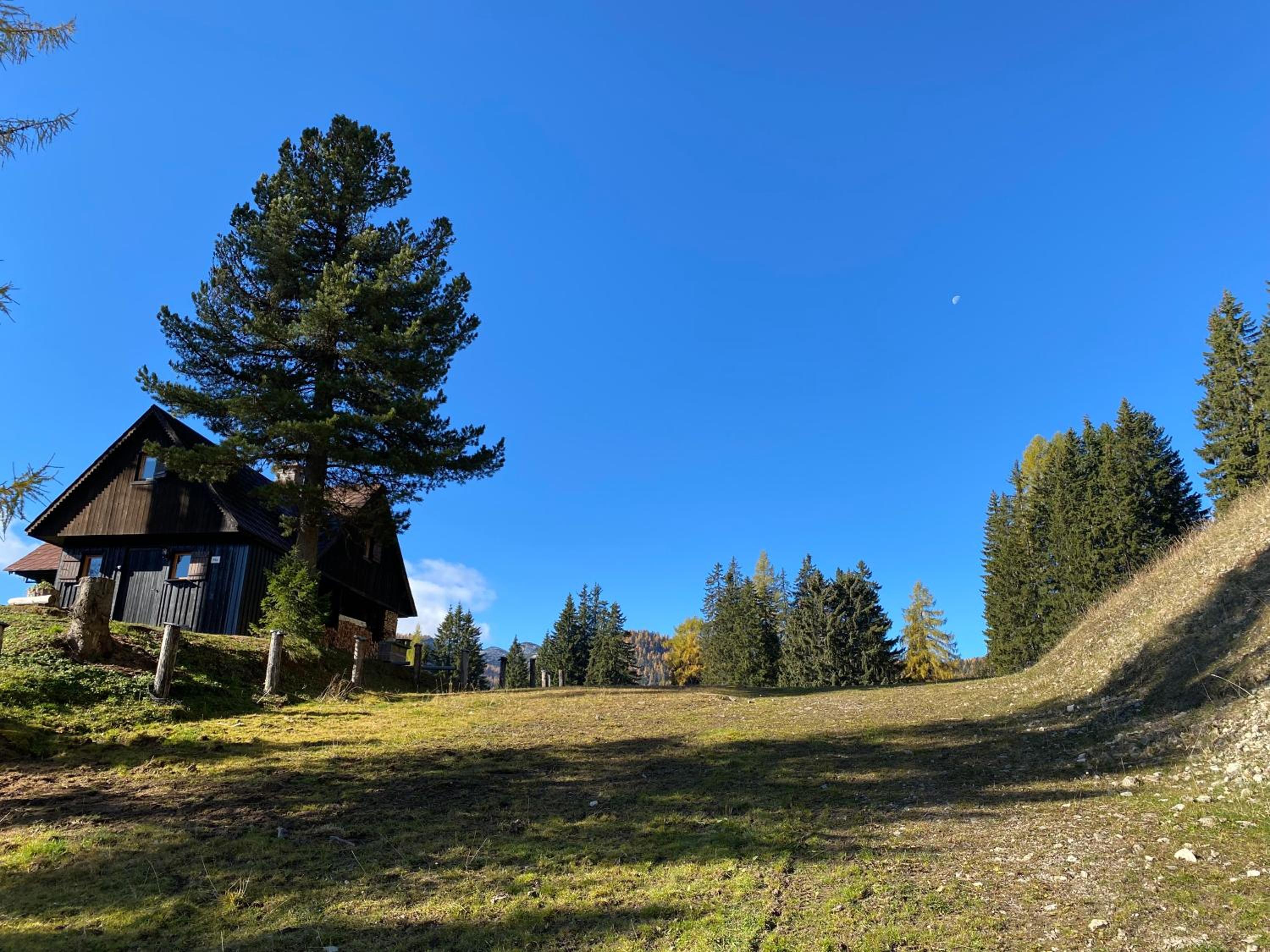 Jagdhütte Gammeringalm