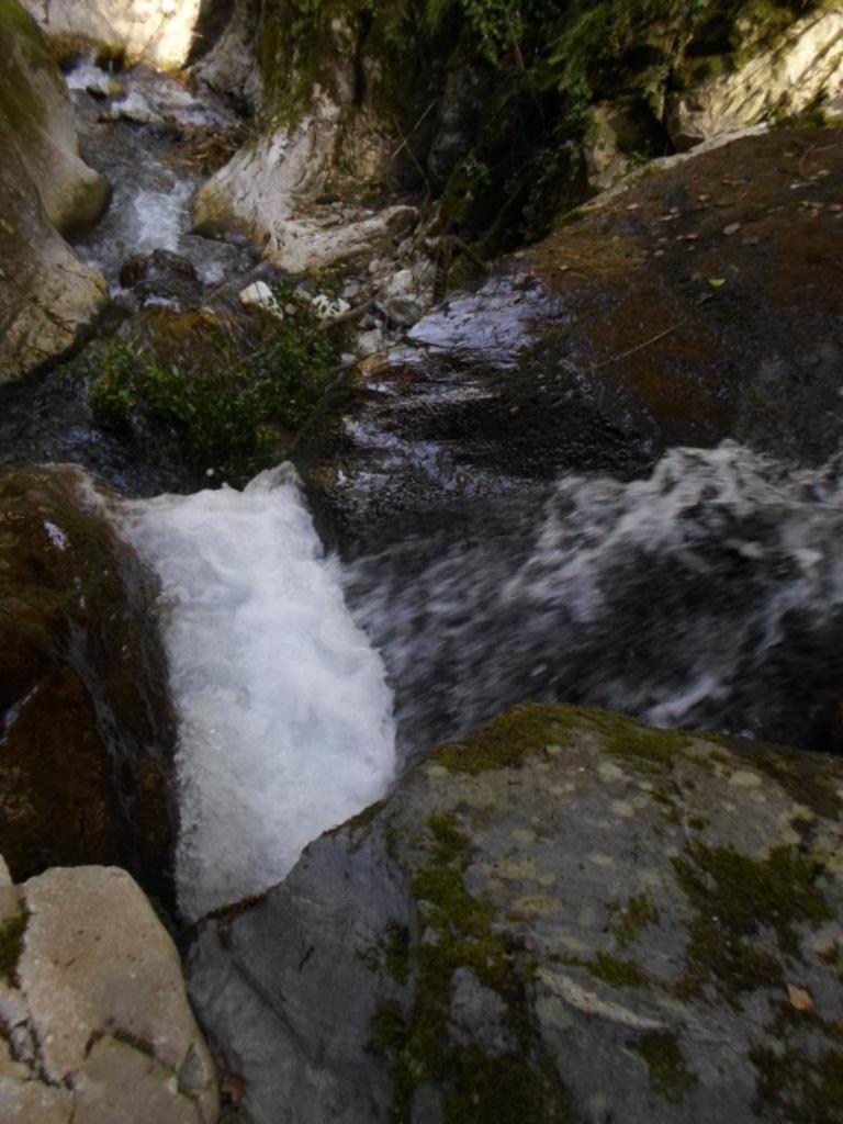 Photo 51