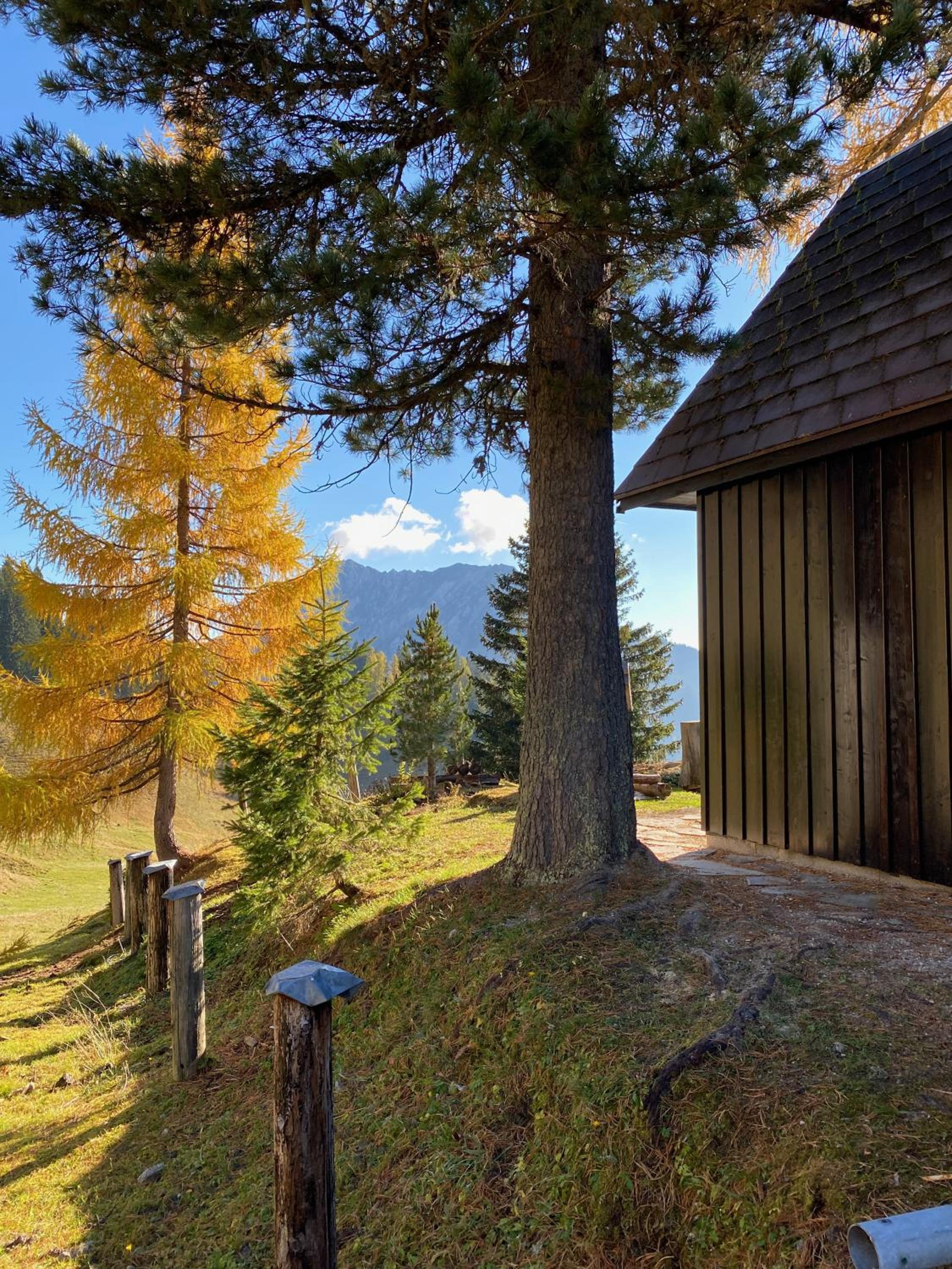 Jagdhütte Gammeringalm