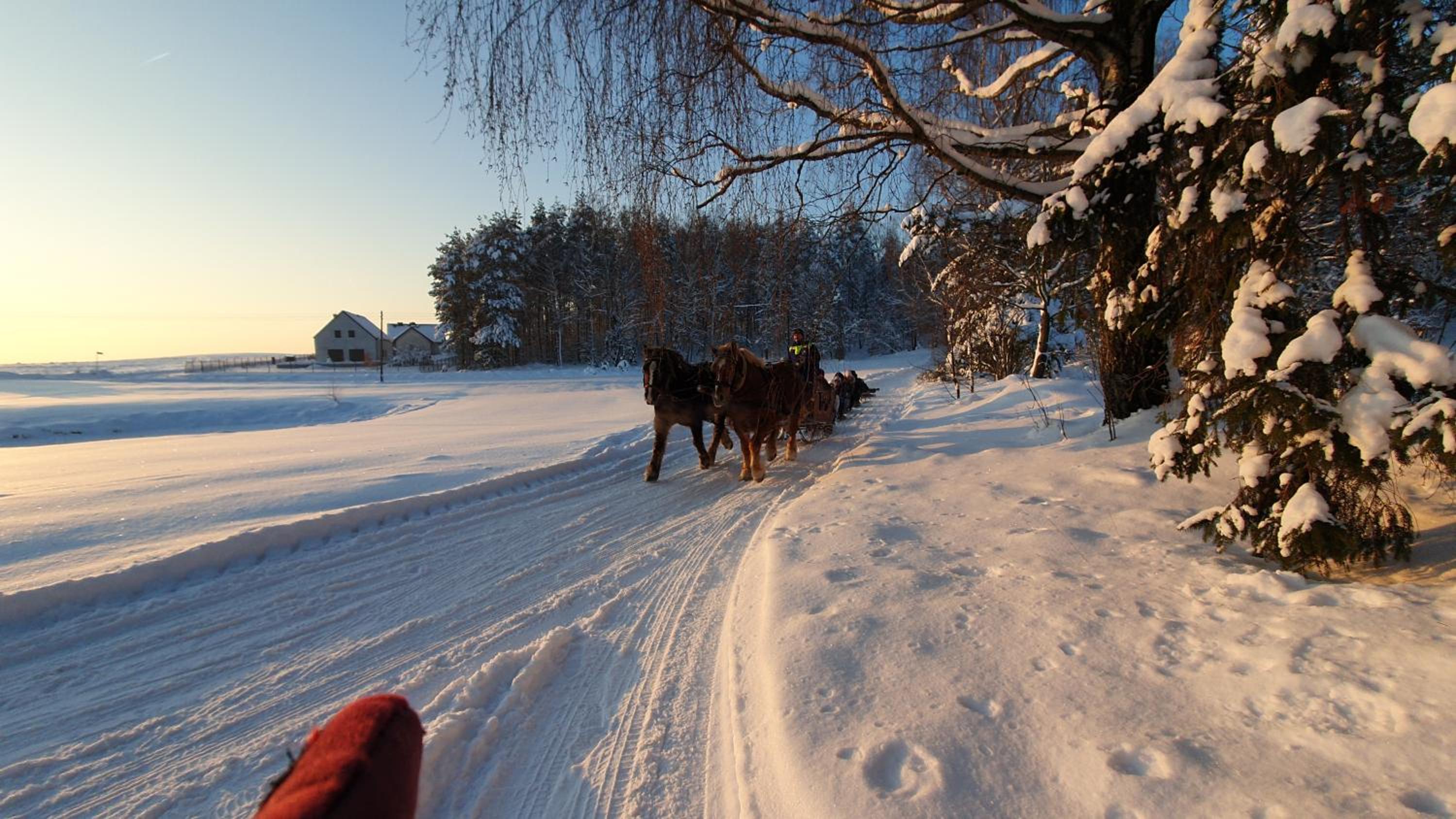 Photo 43