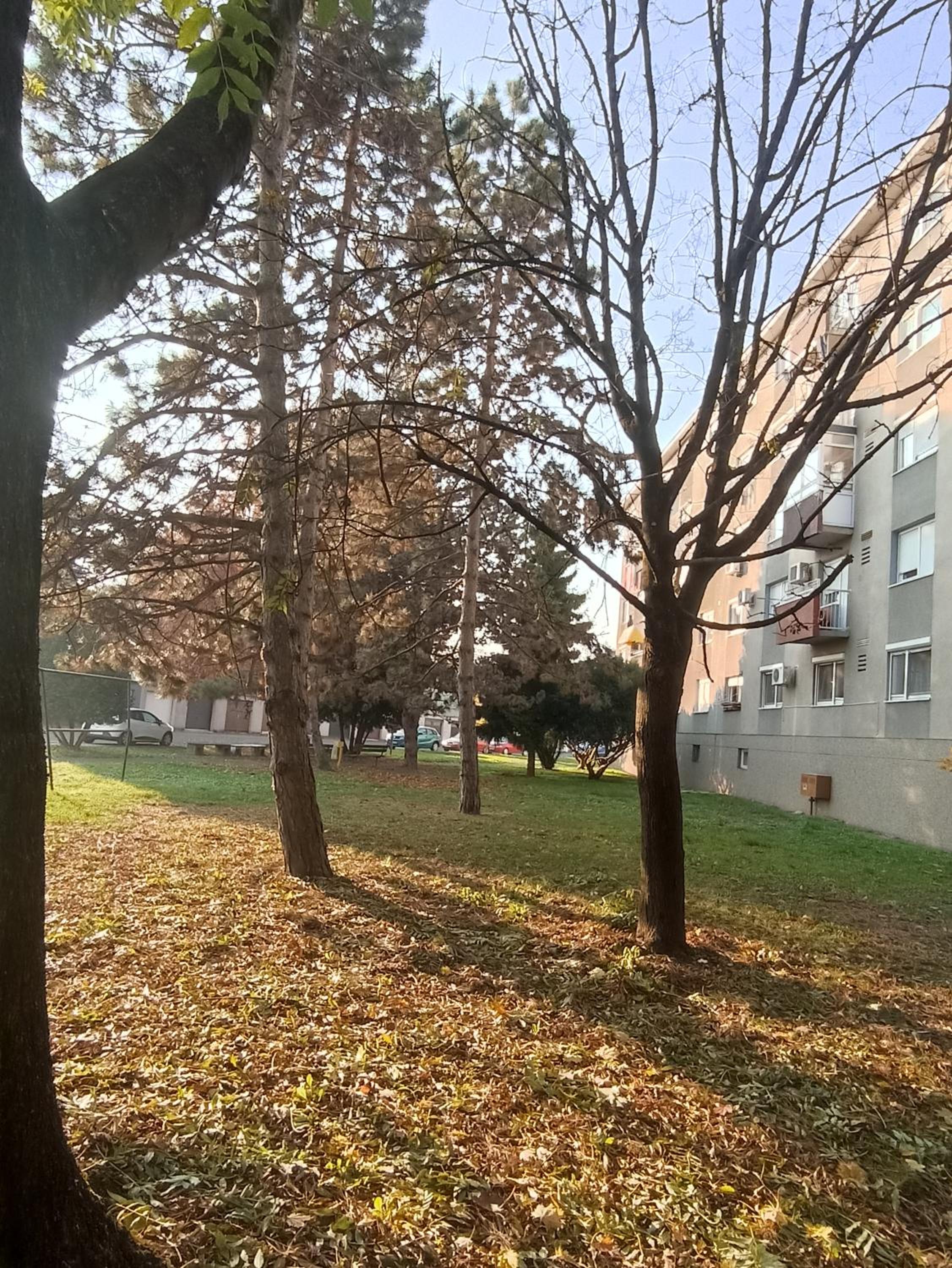 Photo 45