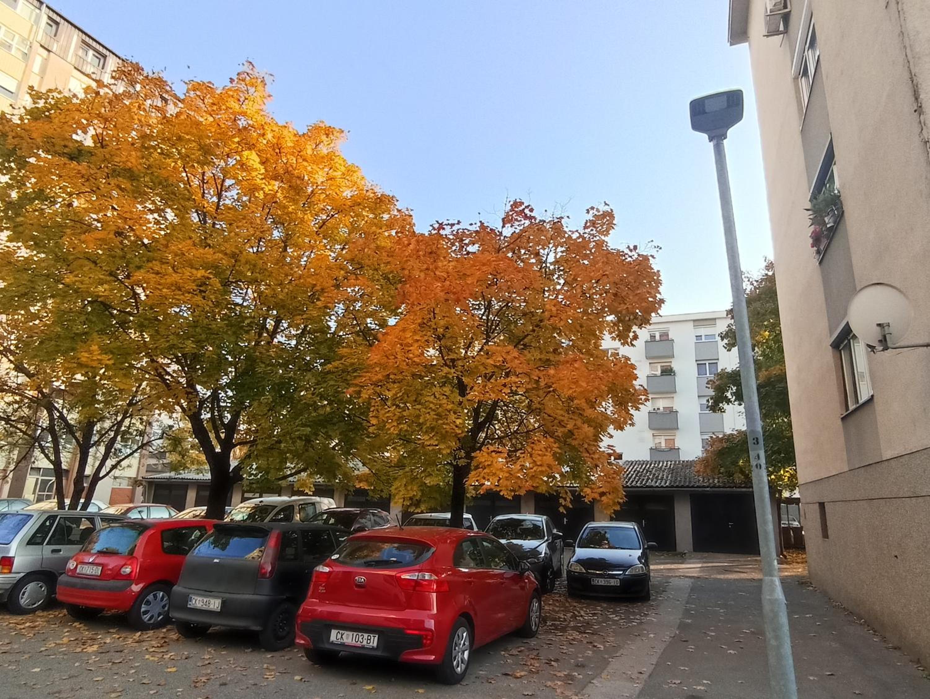 Photo 42
