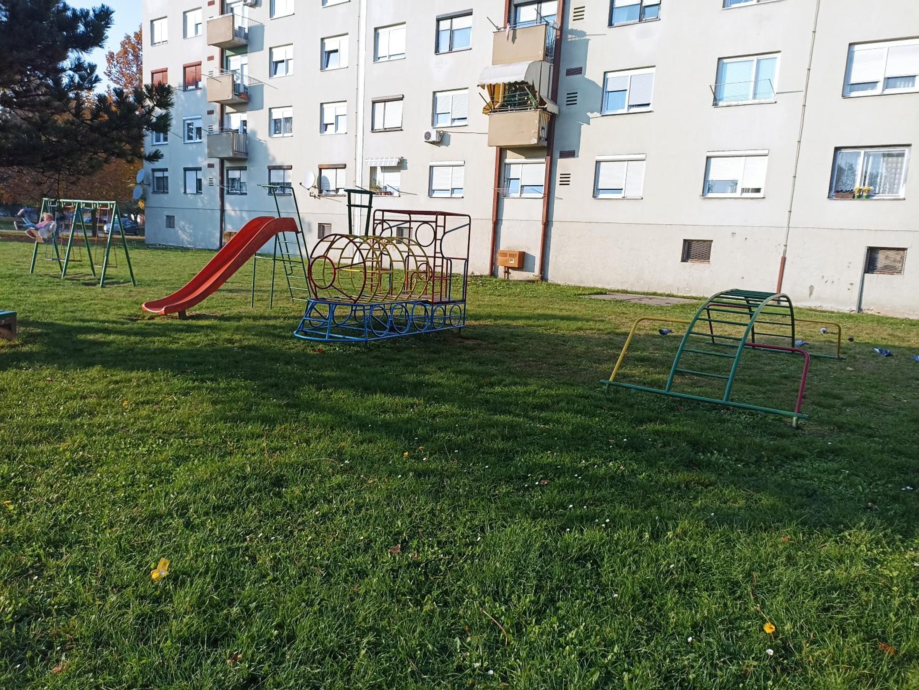 Photo 41