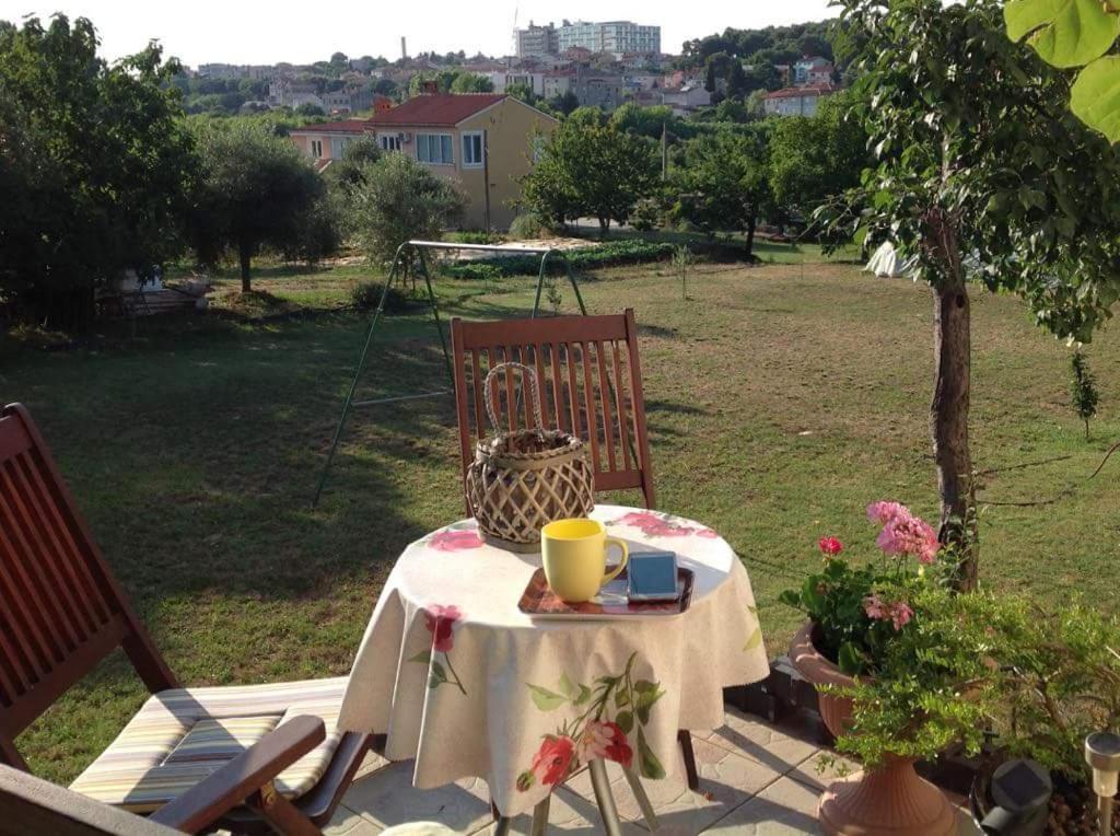 Apartment near centar for 2+1 at Pula, with garden and free parking view 3