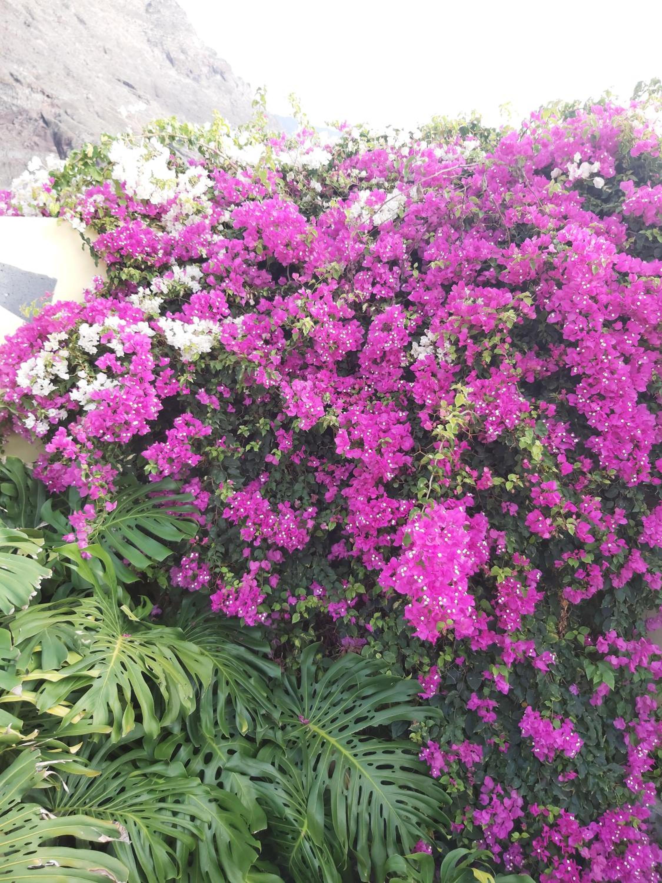 Photo 36