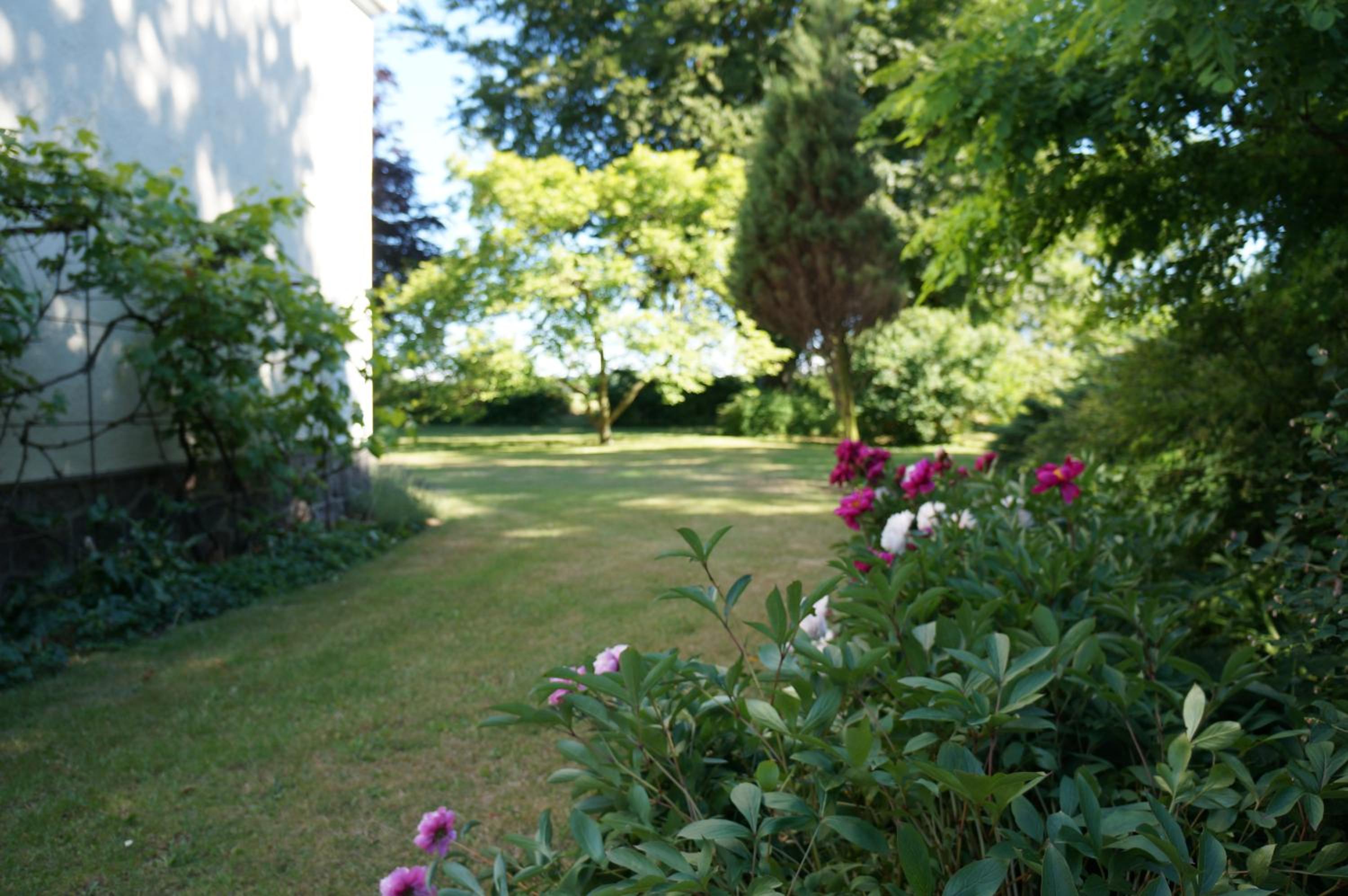 Tiendegaarden Møns Klint