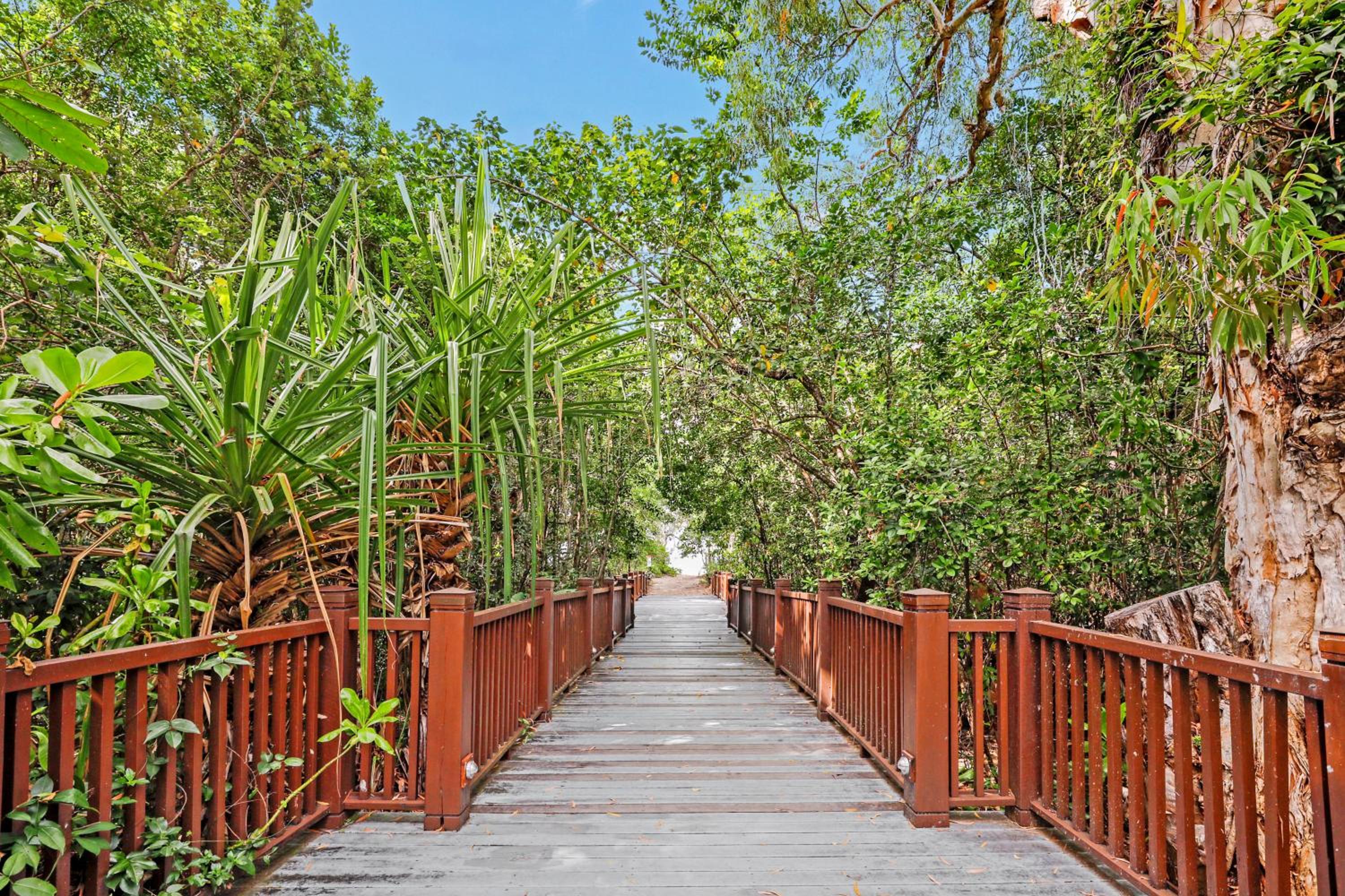 Swim Out Apartments in Triton Street Beachfront Resort Palm Cove