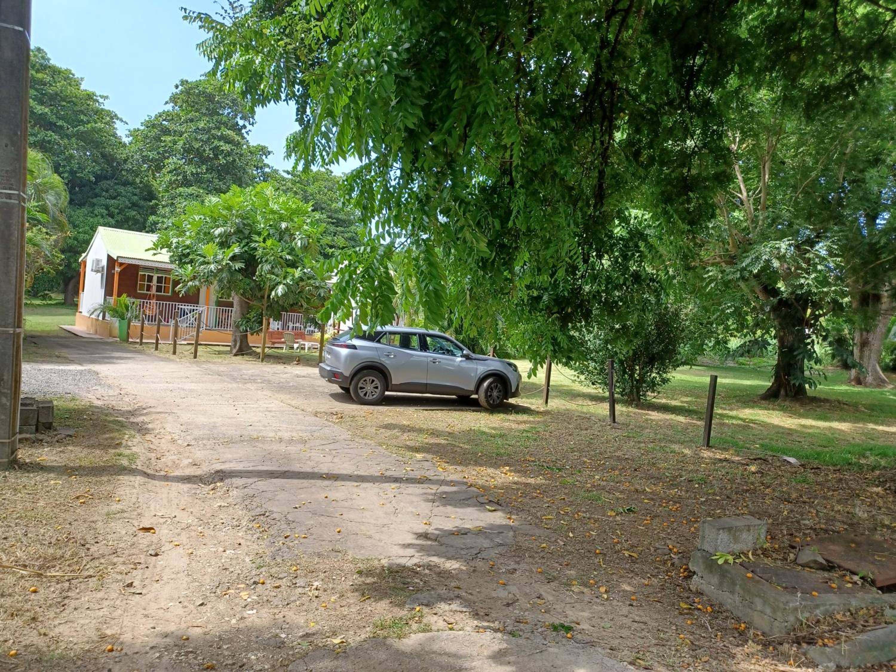 Bungalow PAPAYE