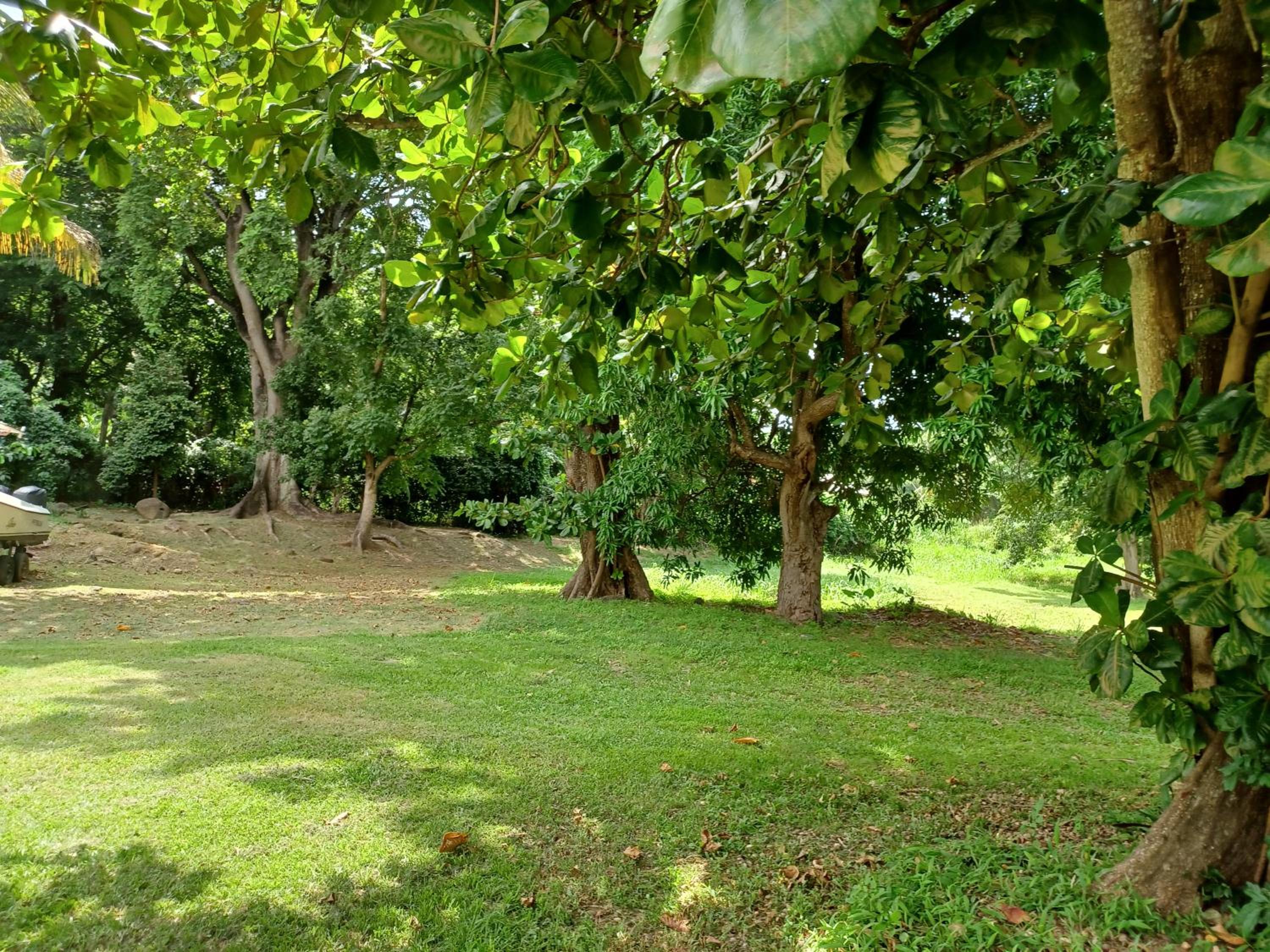 Bungalow PAPAYE