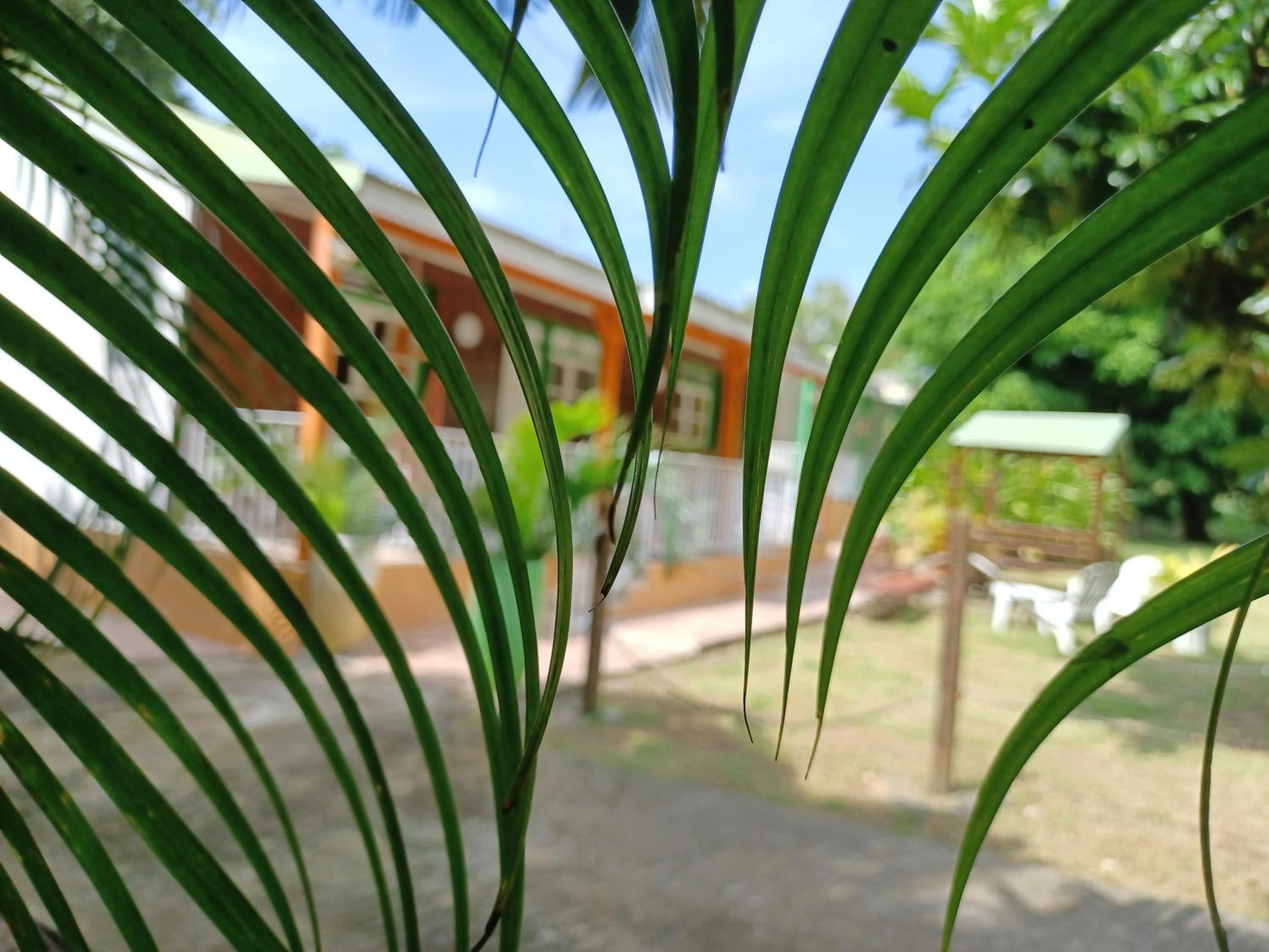 Bungalow PAPAYE