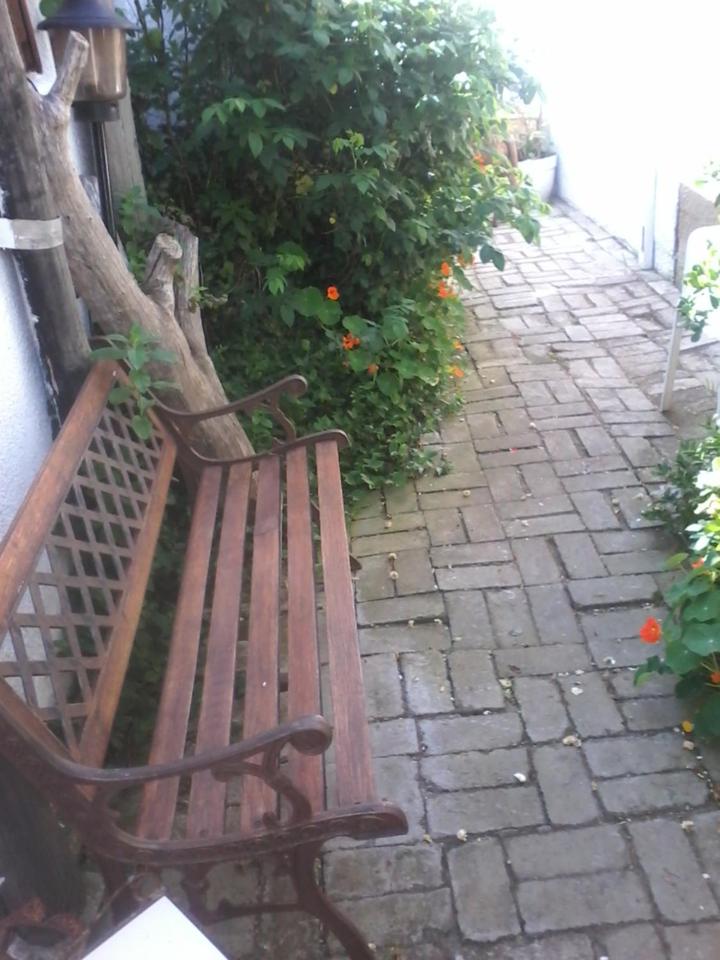 Photo 24