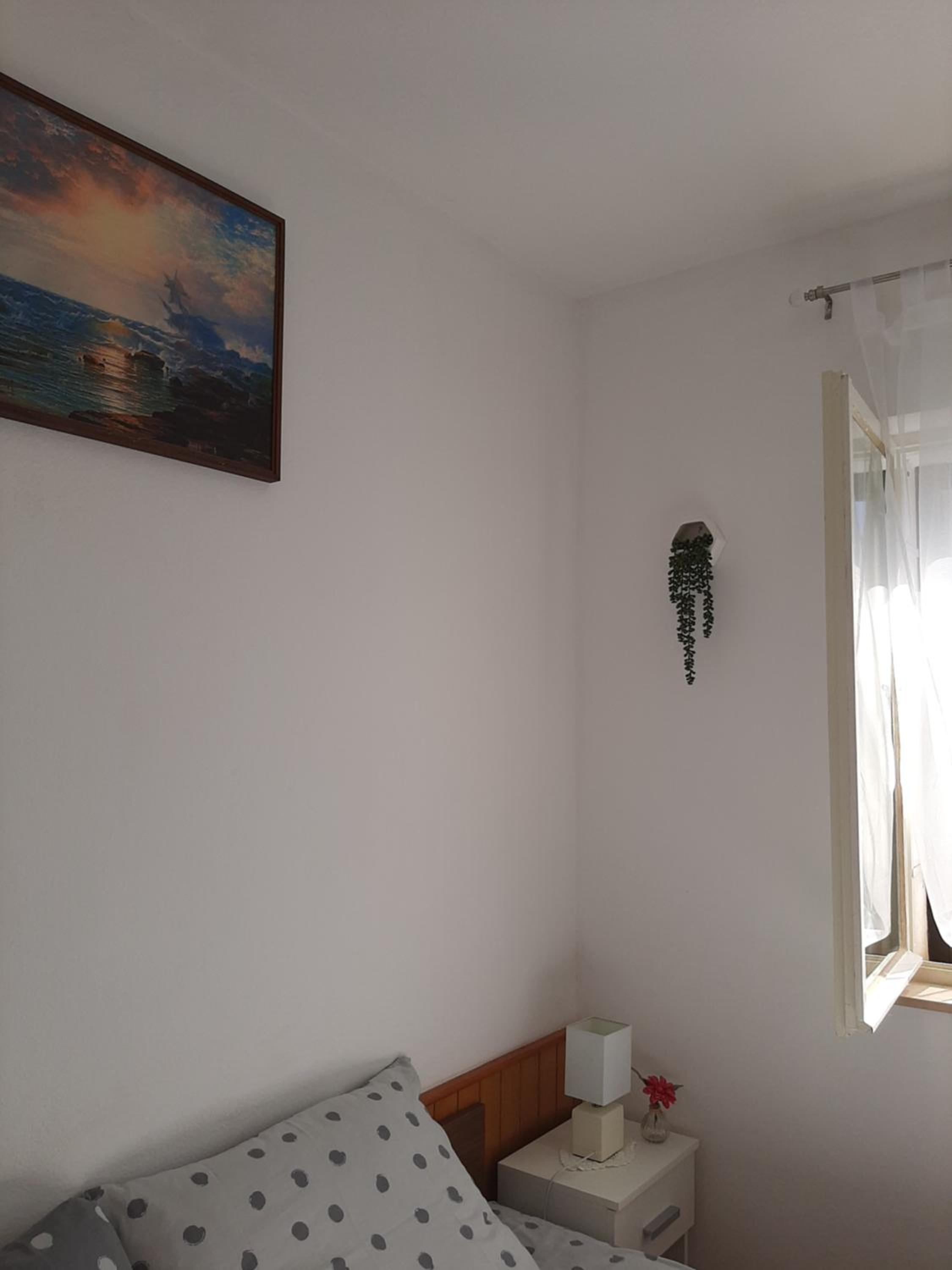 Photo 54