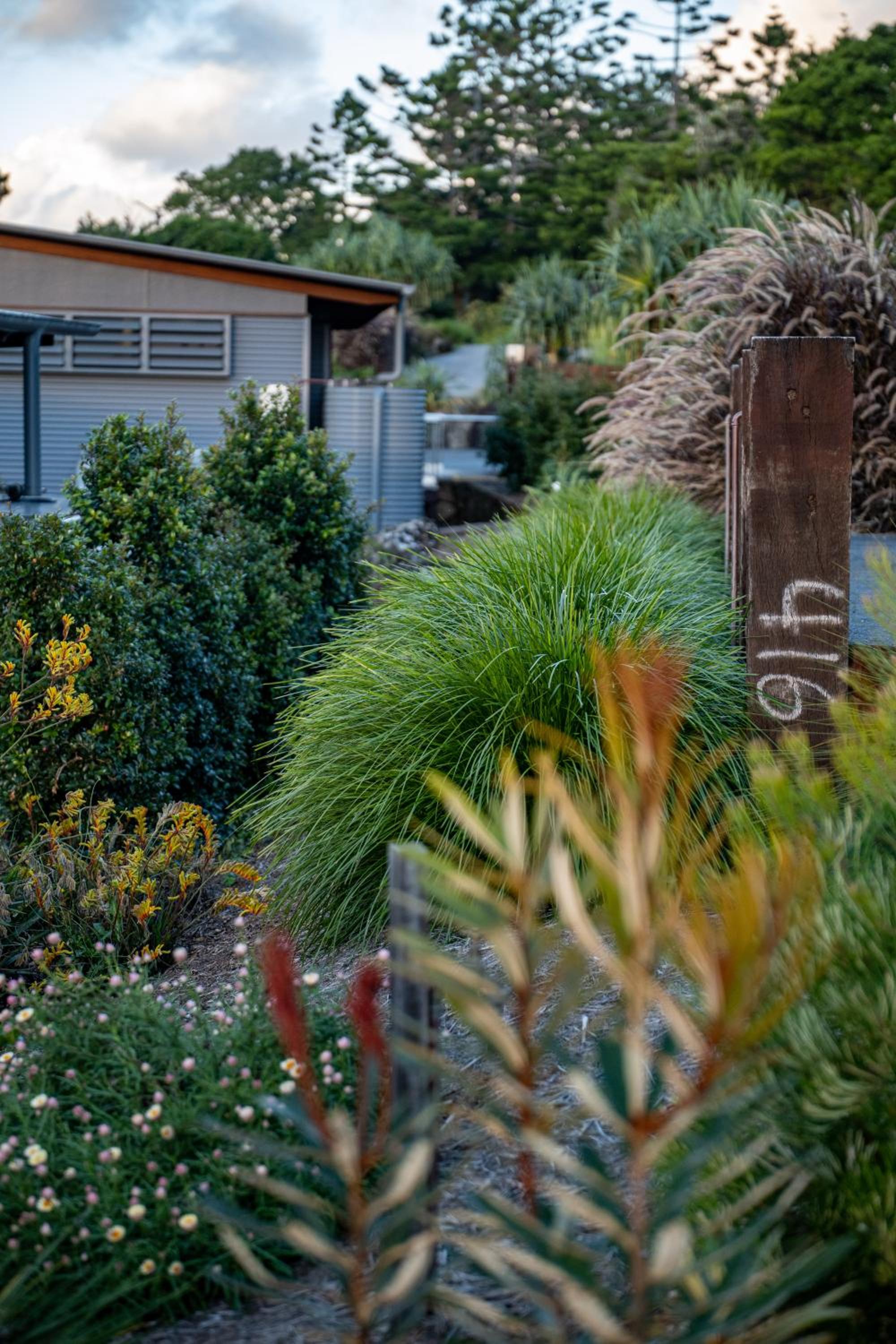 Carinya Byron Bay view 5