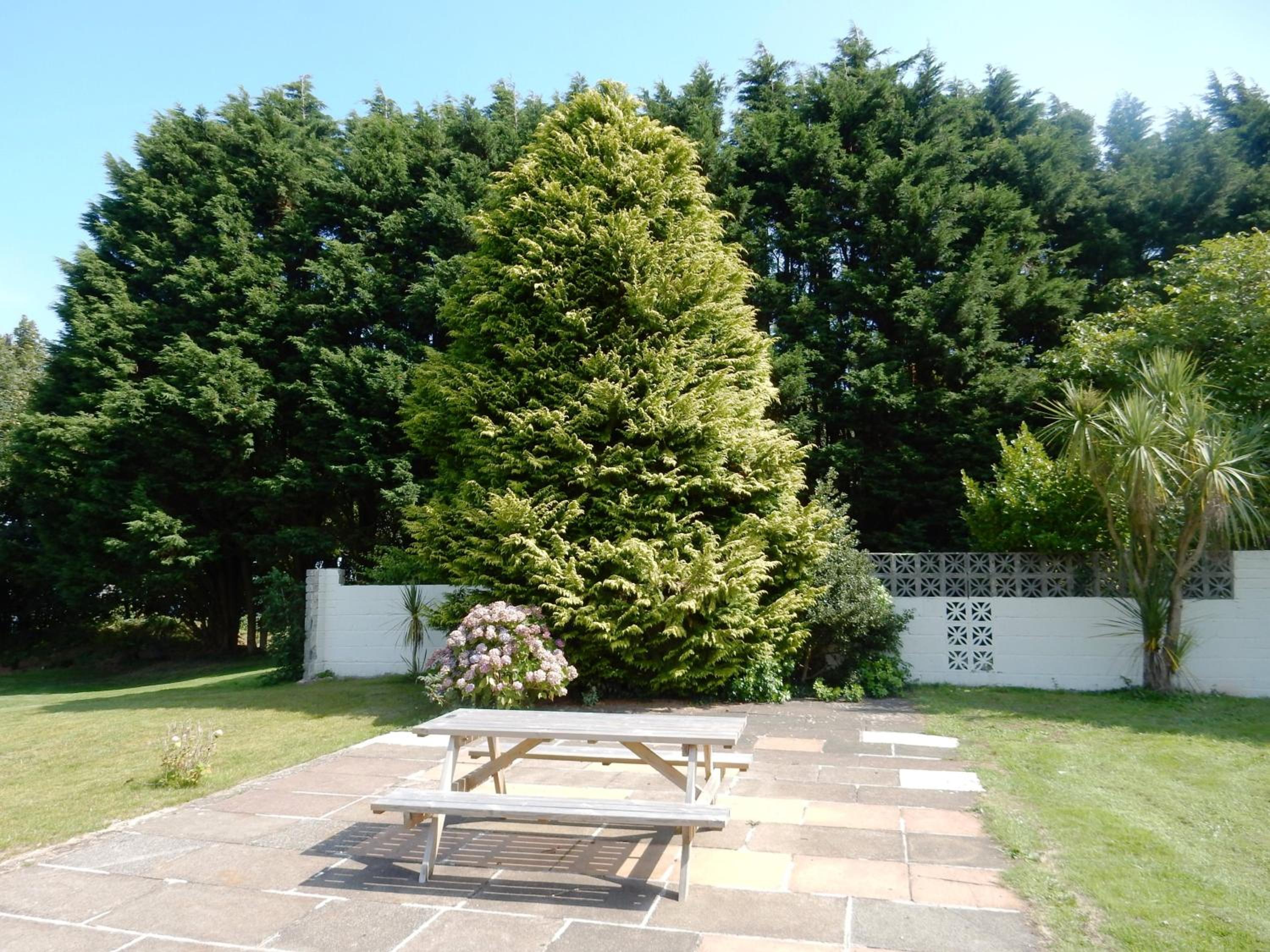 Dartmouth Chalet Holidays