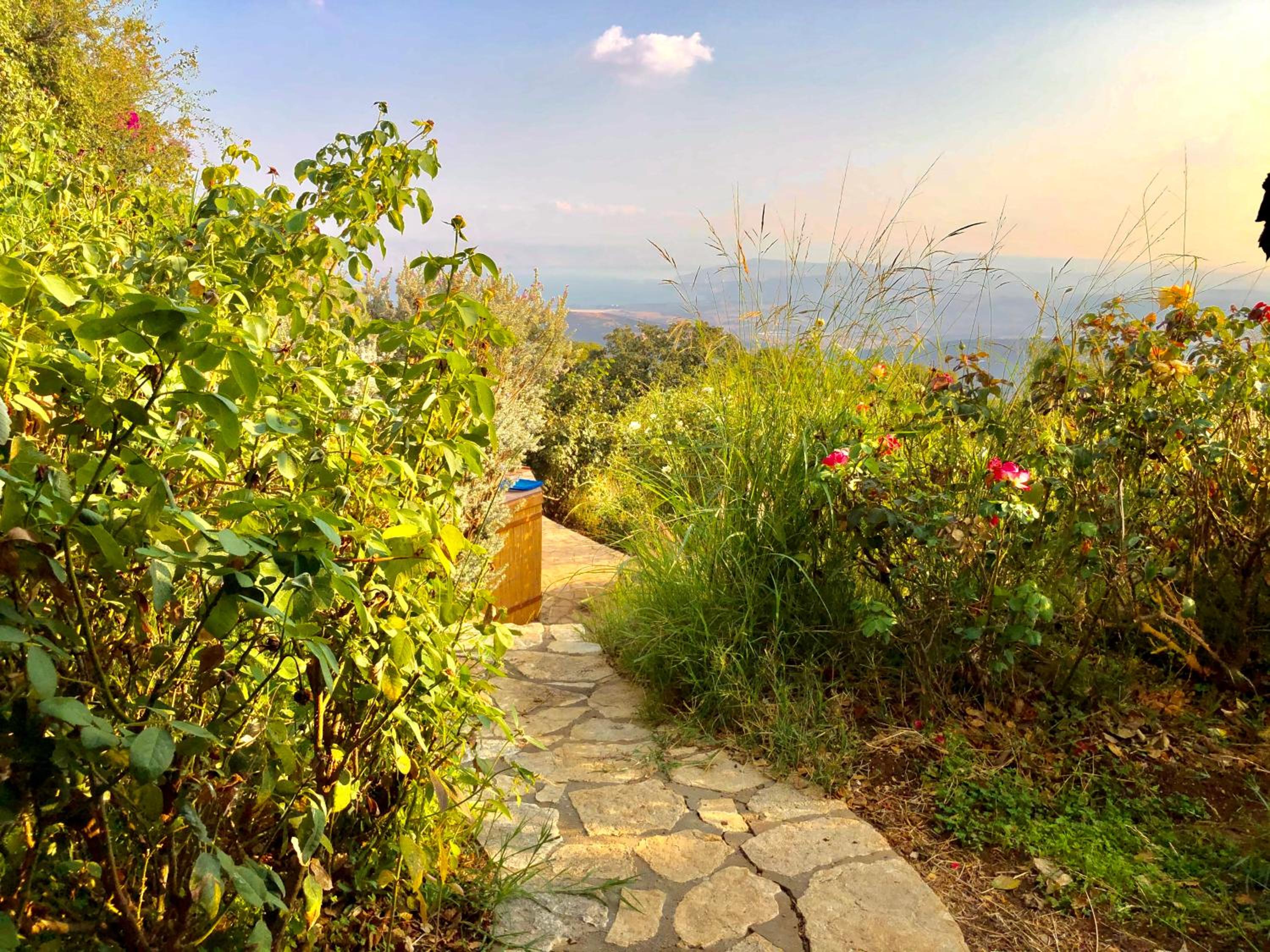 Rose Garden - Gan Vradim
