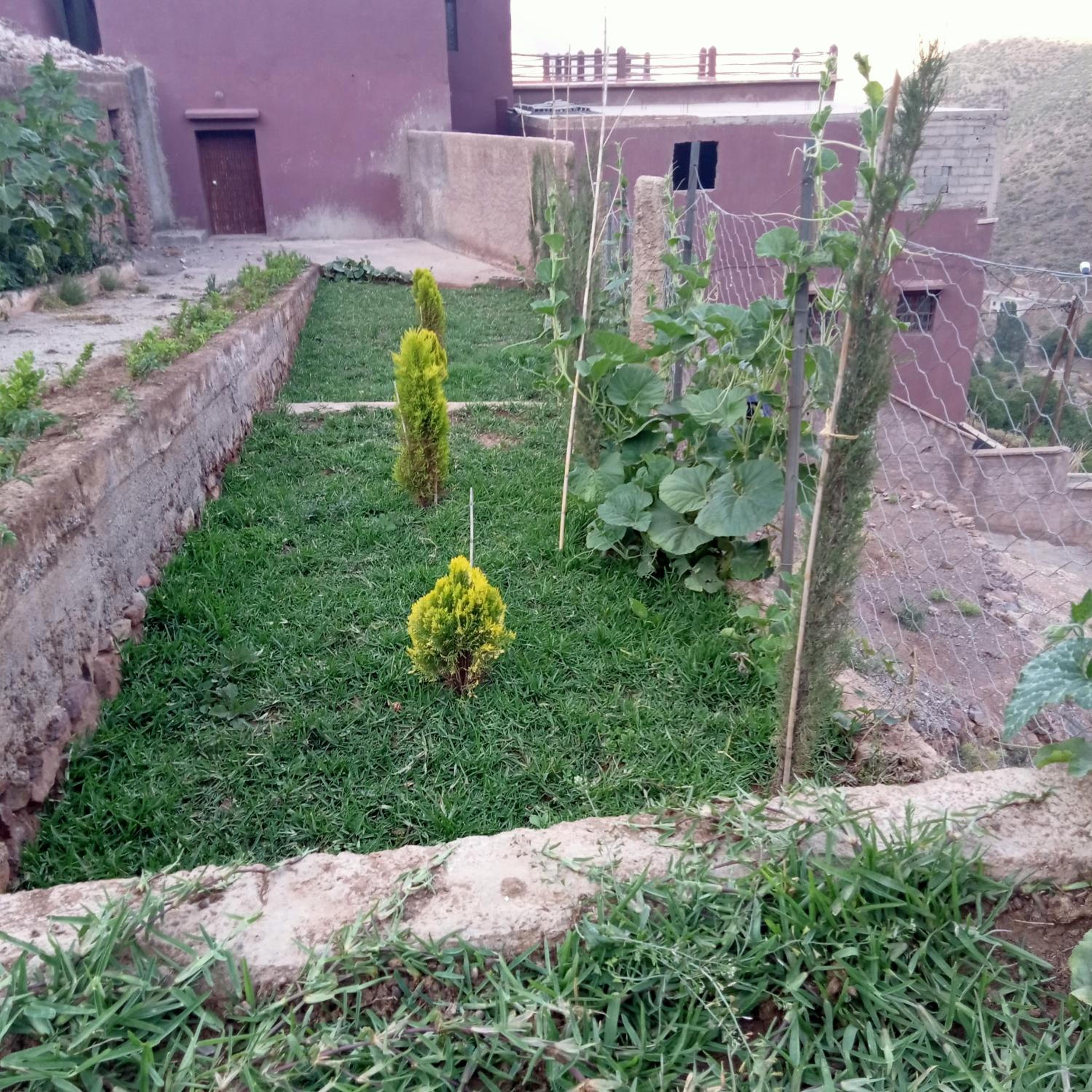 garden