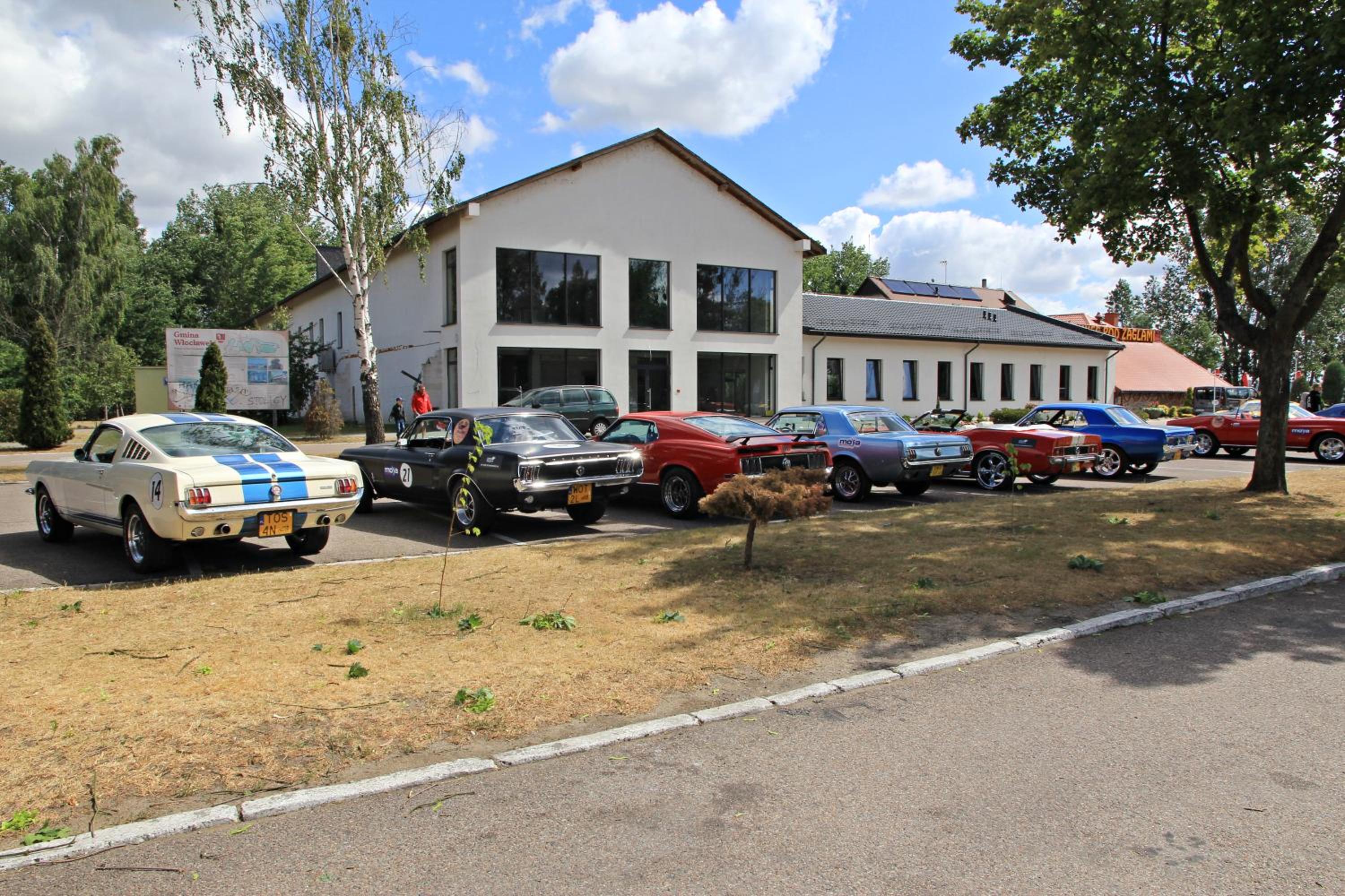 Photo 41