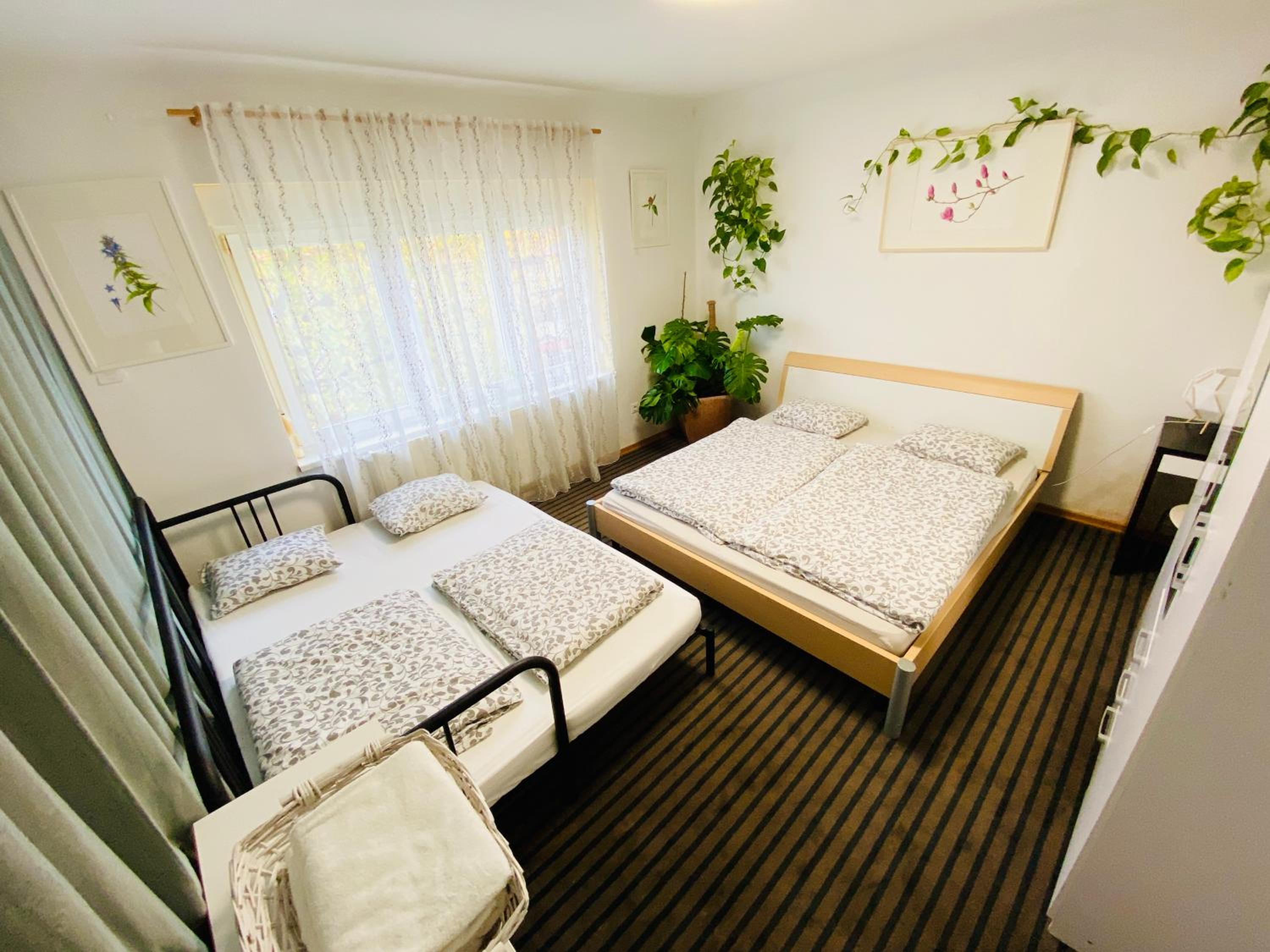 Photo 9 sur 56 de Family Guesthouse GreenSLO
